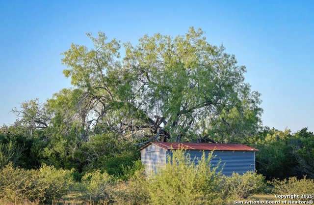 Beeville, Texas, 78102, United States, ,Land,For Sale,1988302