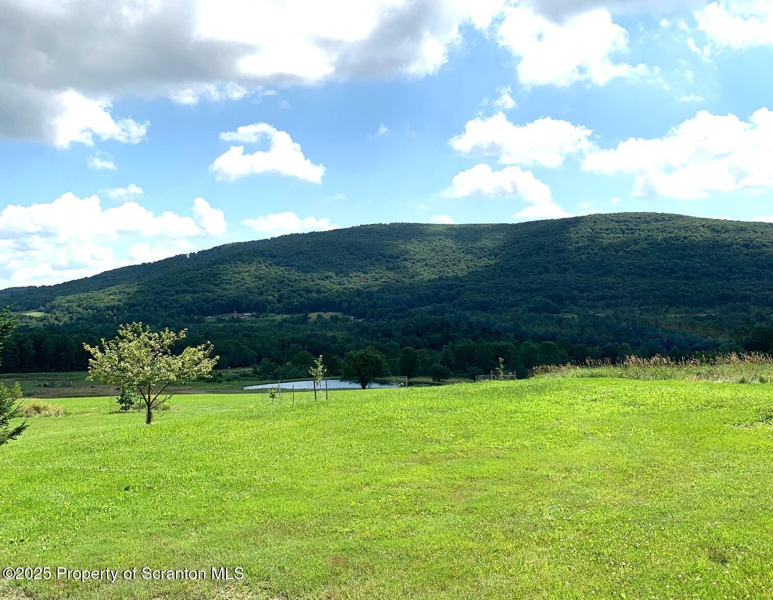 Union Dale, Pennsylvania, 18470, United States, ,Land,For Sale,1975755