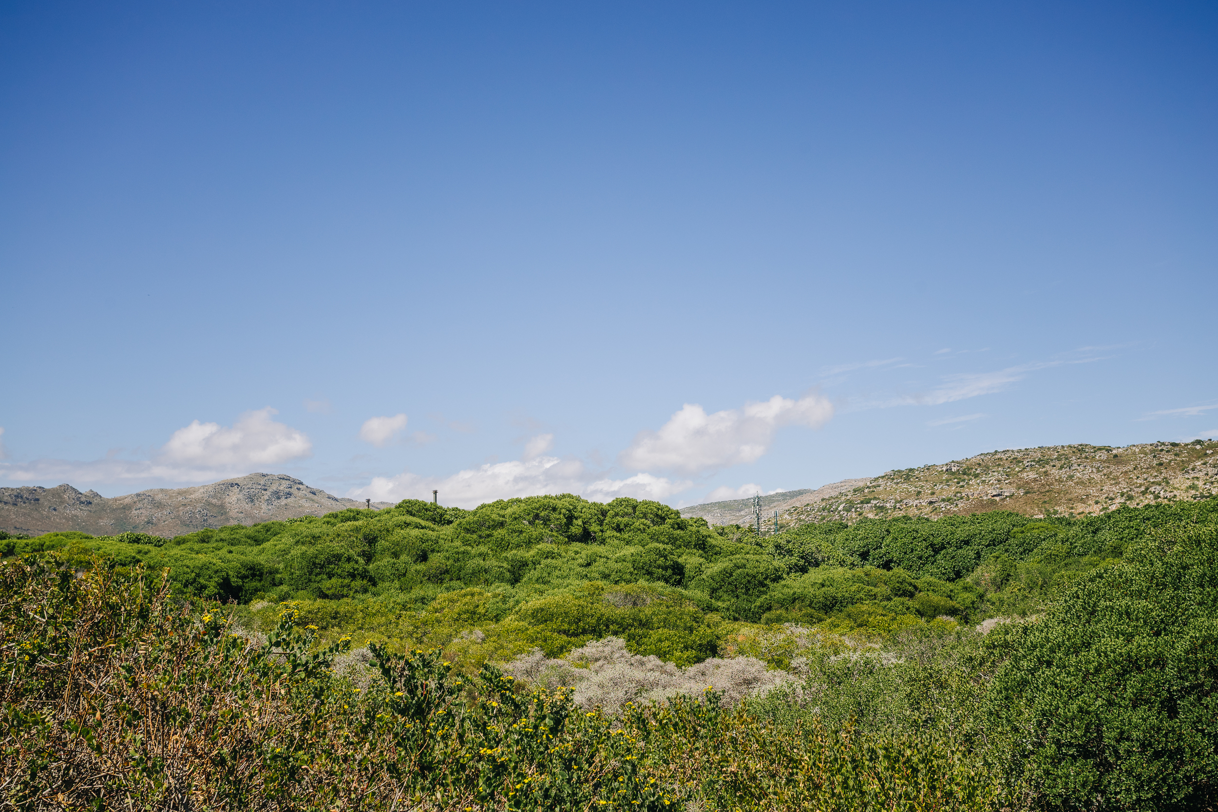  Brick & Mortar Meets Ocean & Artist - 物件實景