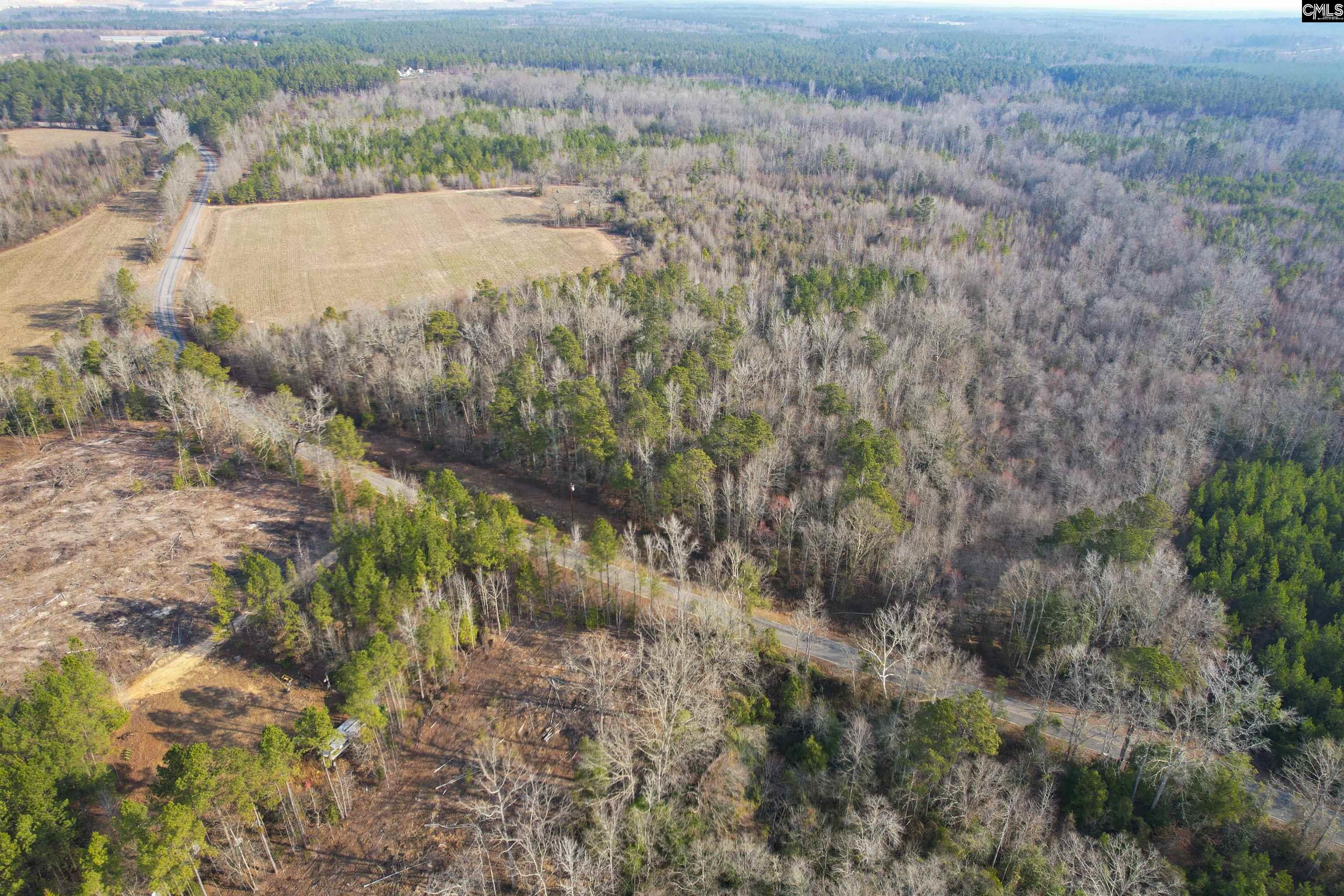 703 Neds Creek Road, Kershaw, South Carolina, 29067, United States, ,Land,For Sale,703 Neds Creek Road,1669372
