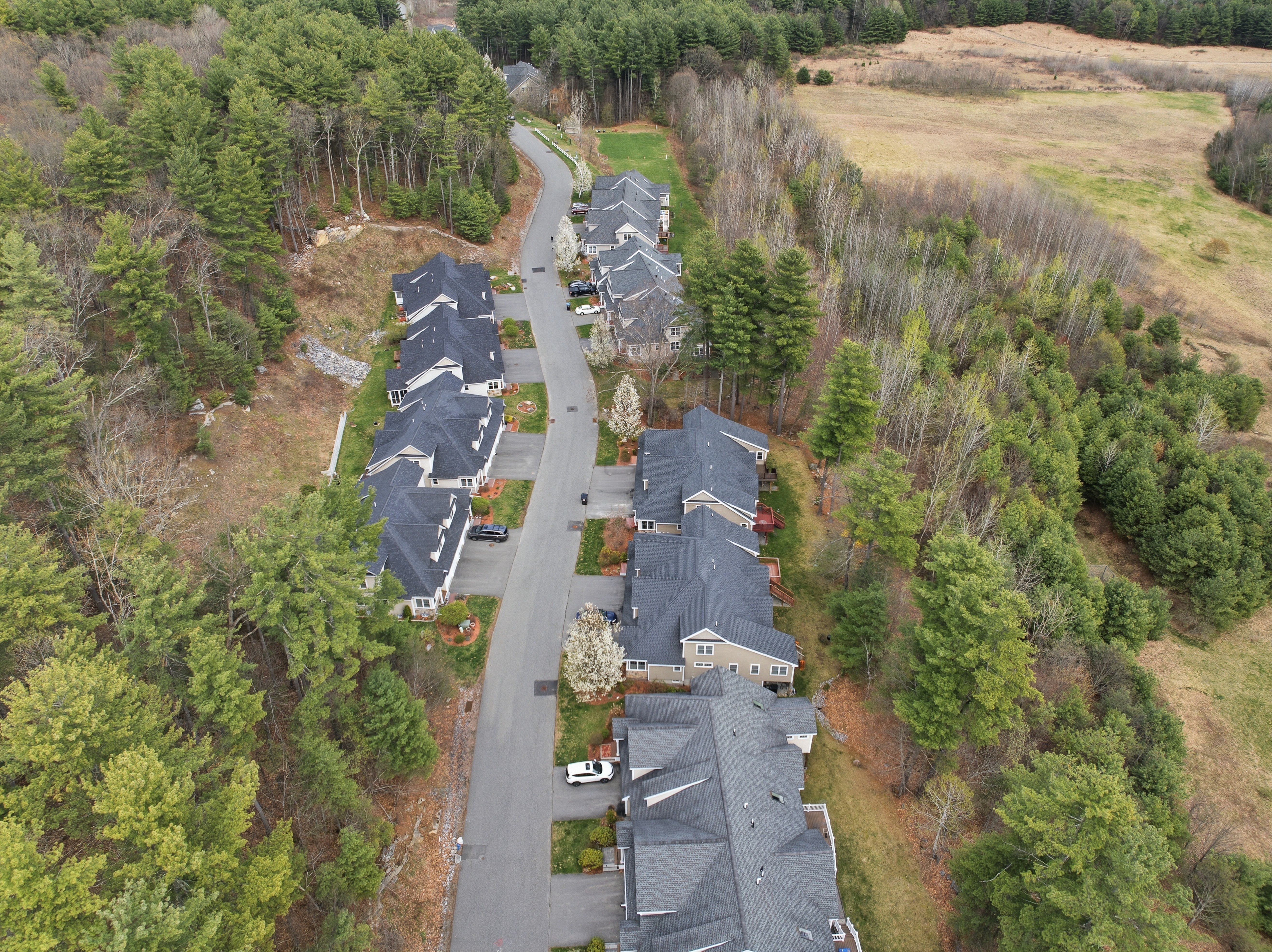  6 D Trail Ridge Way, Harvard, MA 01451 - 物件實景
