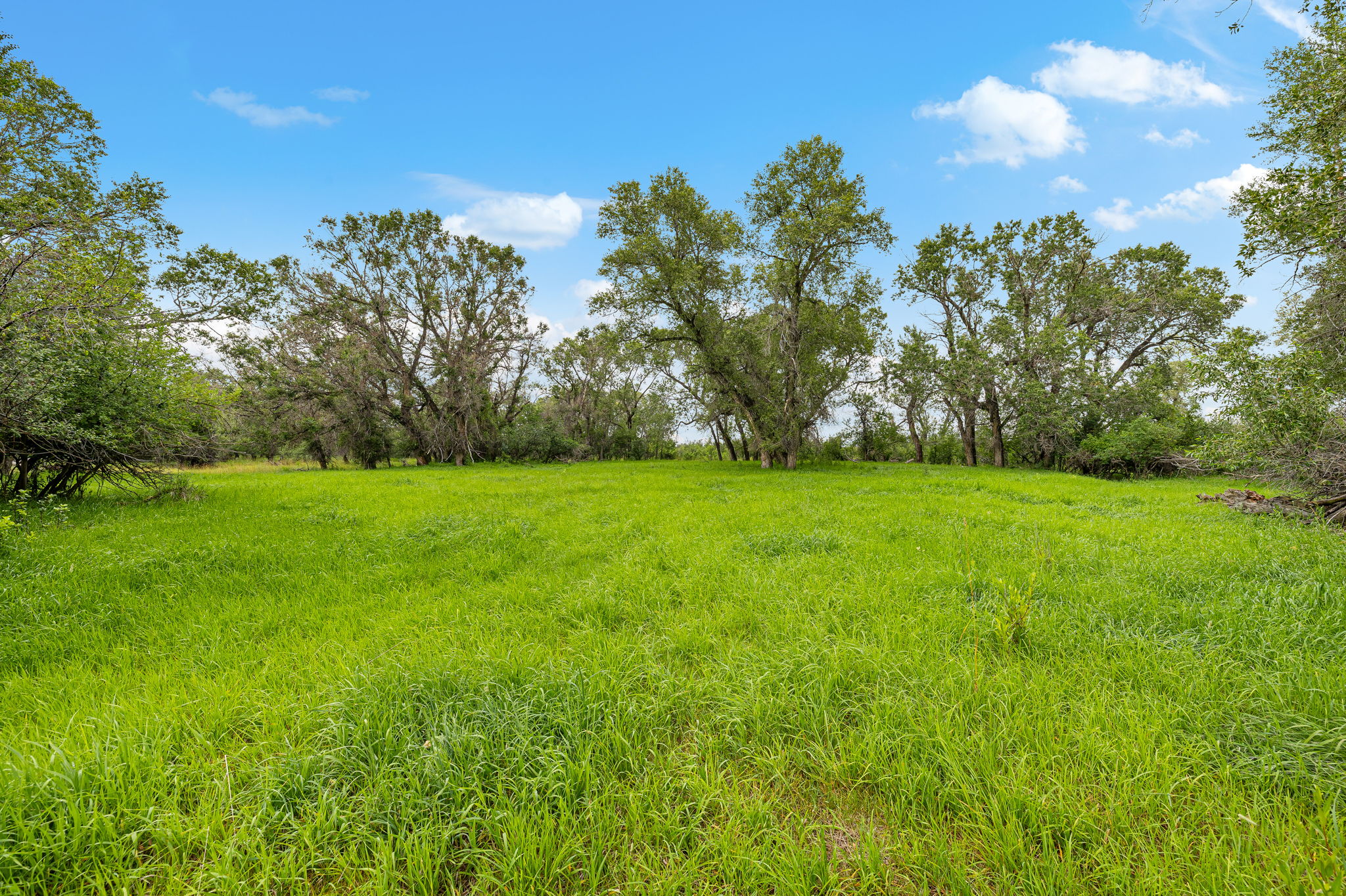  6058 Cottonwood Creek Road - 物件實景