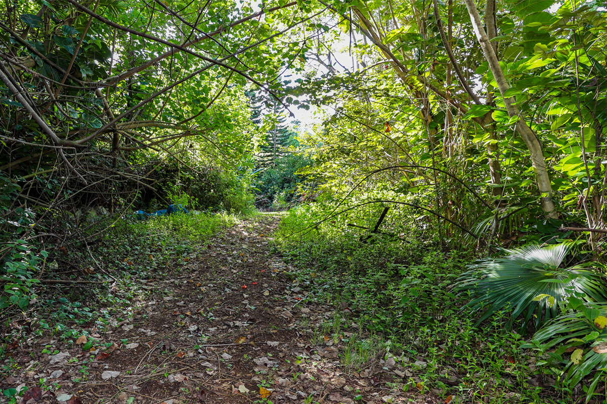 6828-B KUAMOO RD 2, Kapaa, Hawaii, 96746, United States, ,Land,For Sale,6828-B KUAMOO RD 2,1672725