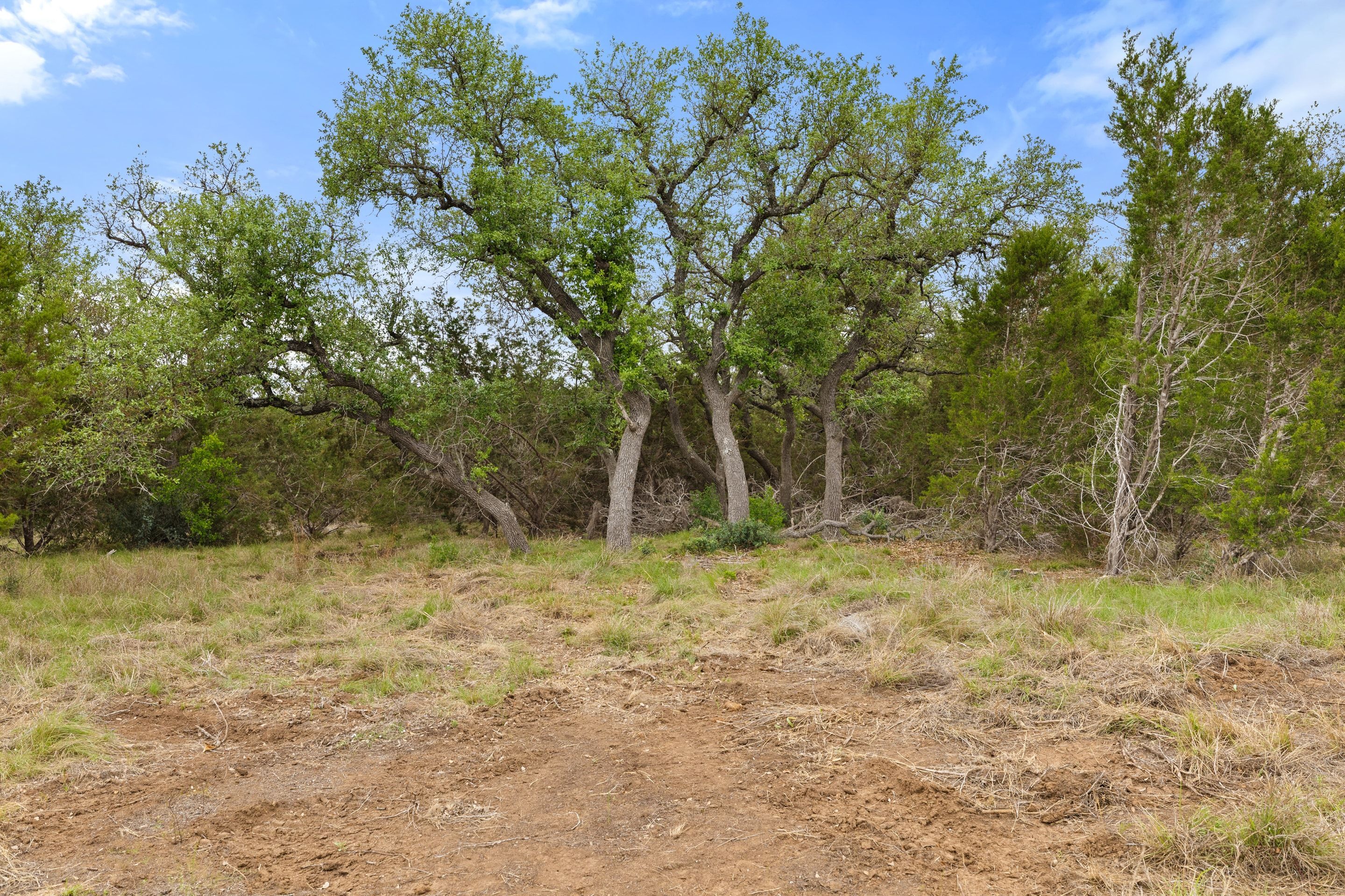  83 S Flat Rock Way - 5 Acre Lot in Gated Legacy Hills - 物件實景