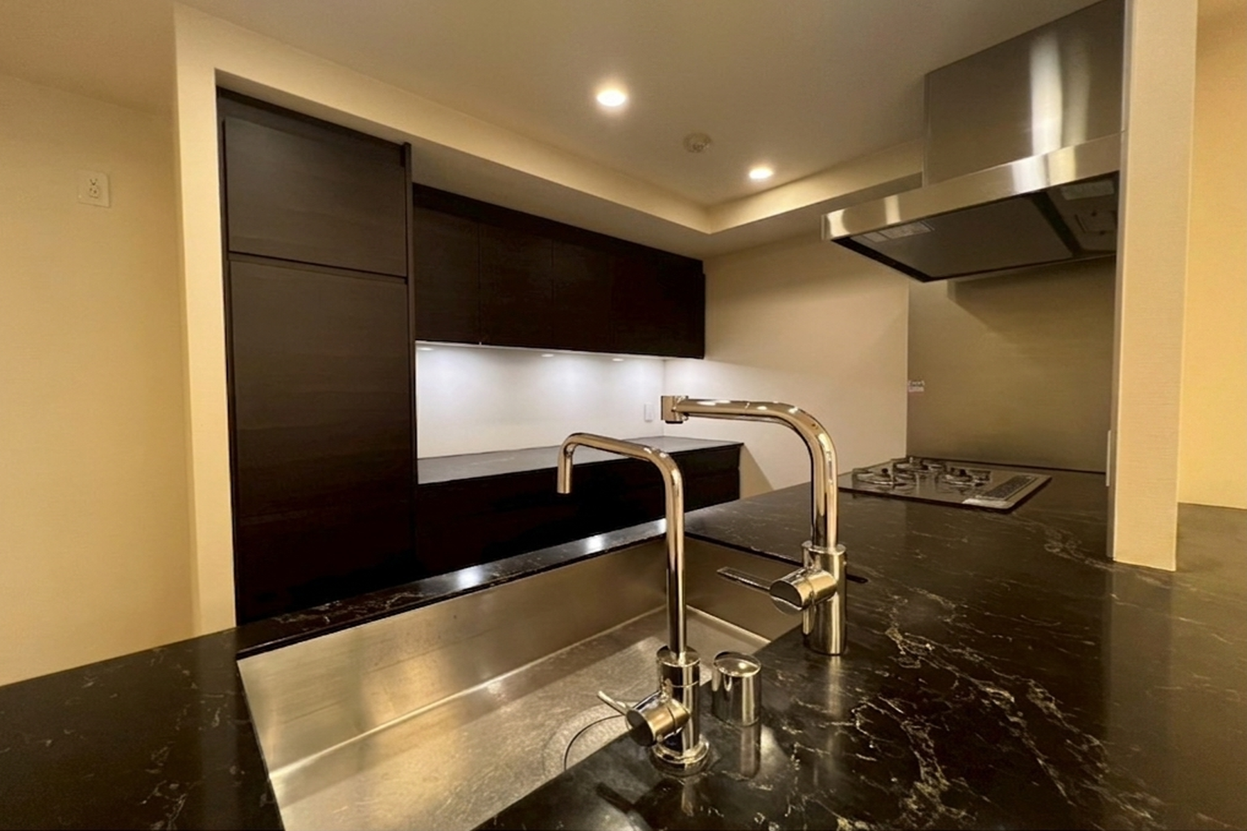  THE PARK HOUSE GRAN MINAMI-AOYAMA - 物件實景