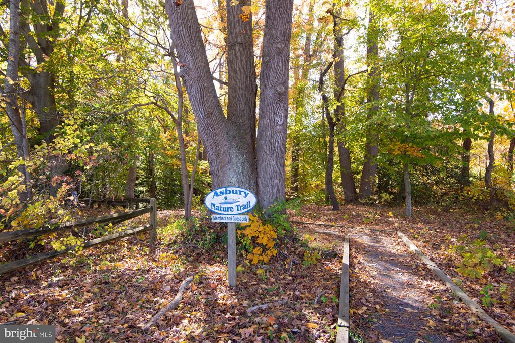 Denton, Maryland, 21629, United States, 4 Bedrooms Bedrooms, ,3 BathroomsBathrooms,Residential,For Sale,1992998