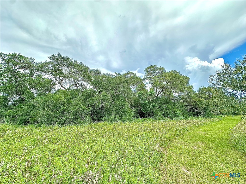 Nursery, Texas, 77976, United States, ,Land,For Sale,1885536