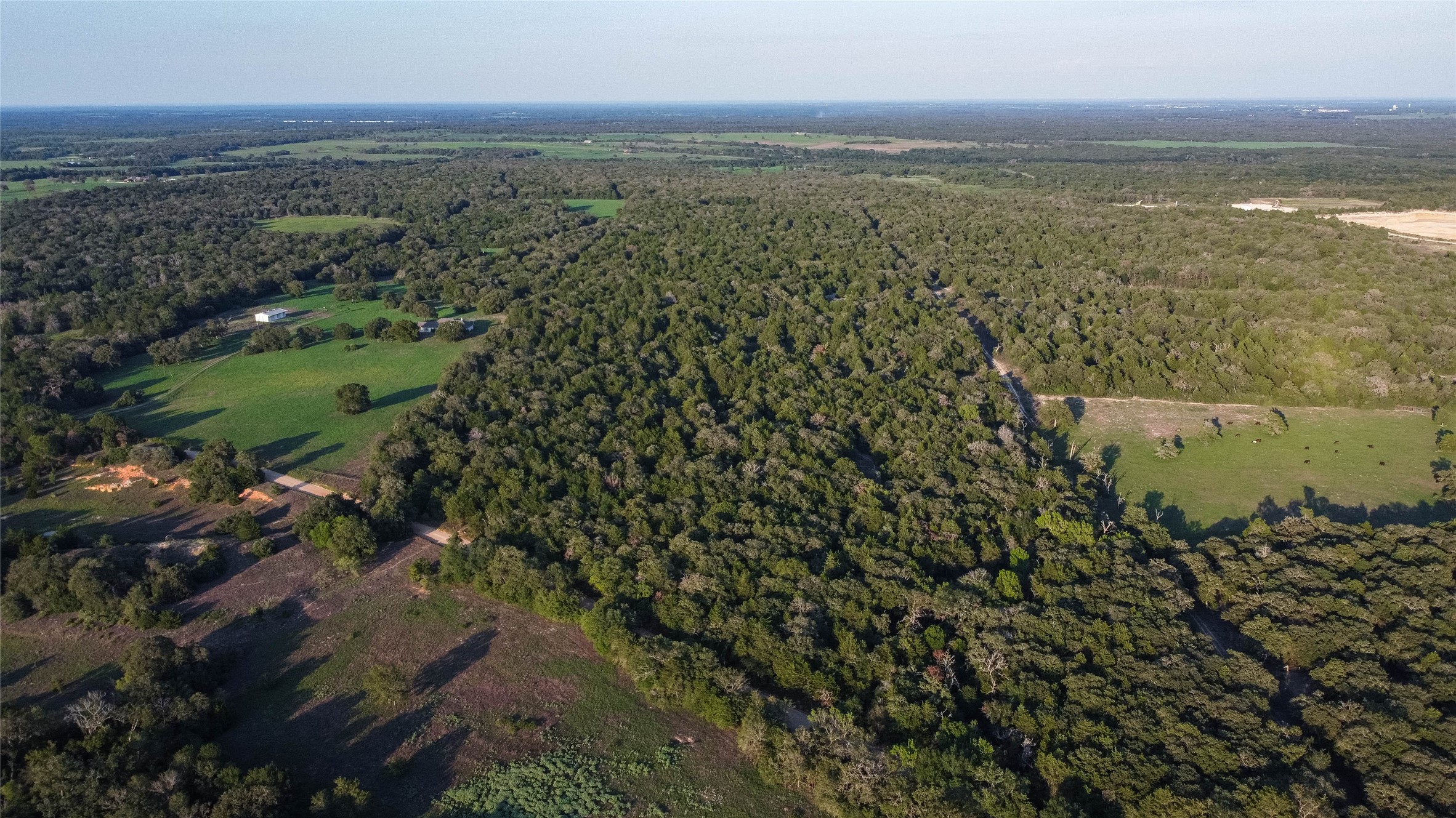 5632 County Road 317, Caldwell, Texas, 77836, United States, ,Land,For Sale,5632 County Road 317,1626286