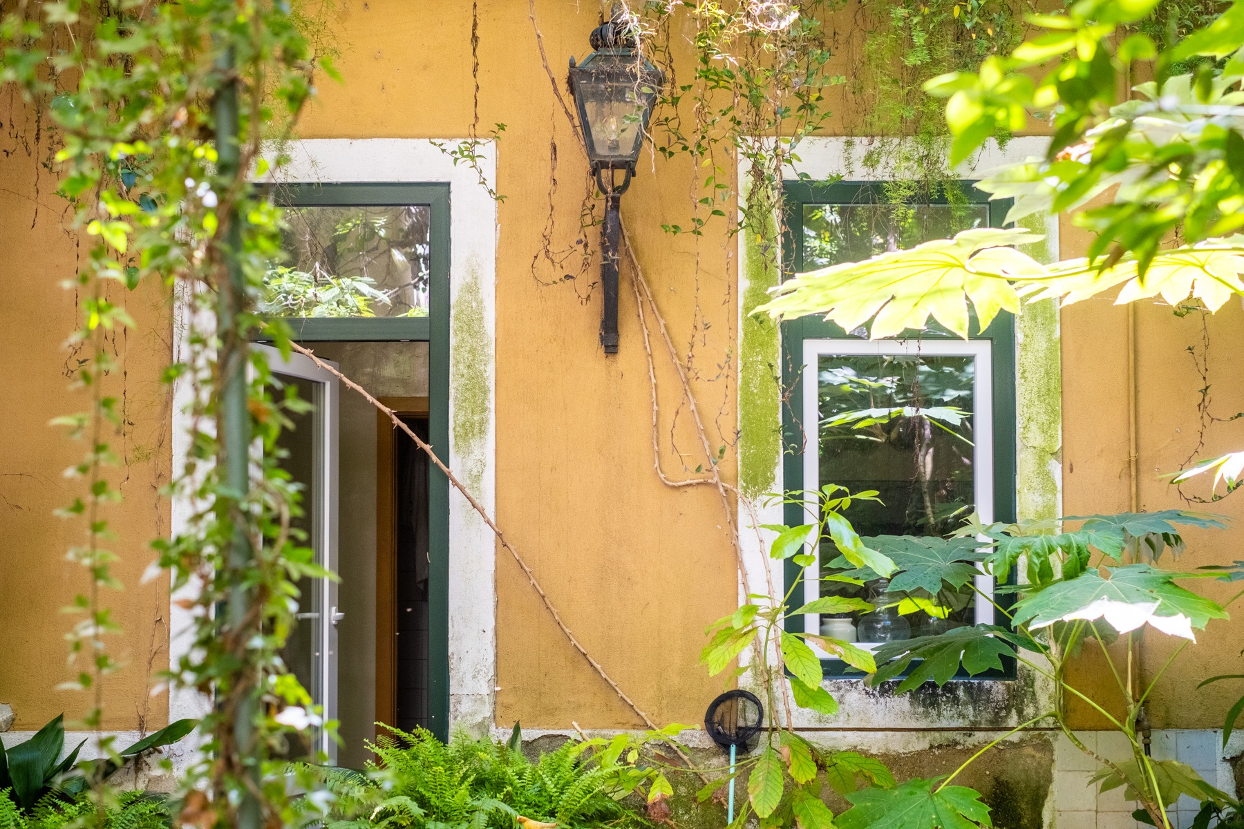  House, 10 bedrooms, for Sale - 物件實景