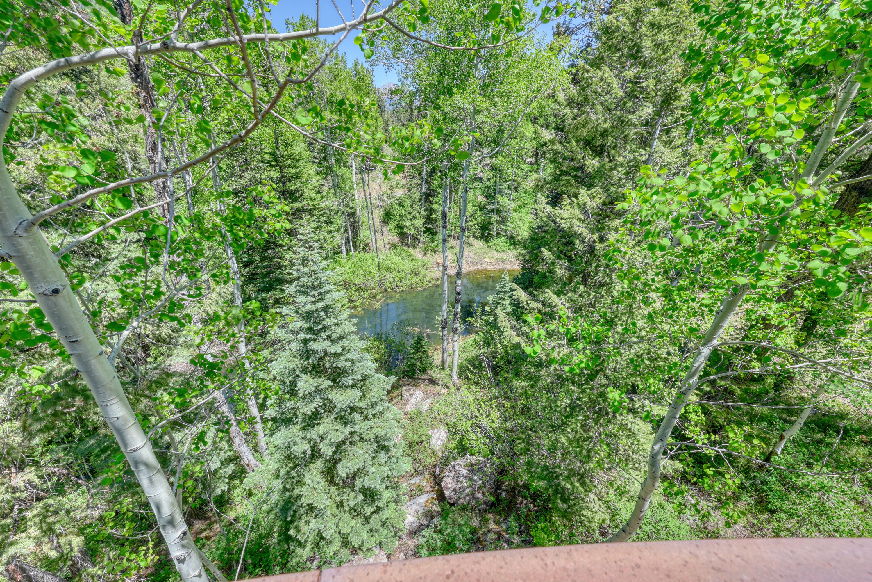  455 Pinnacle View Drive, Durango, CO 81301 - 物件實景