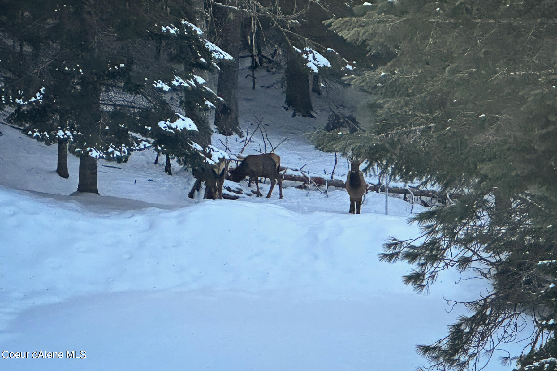 Coeur d'Alene, Idaho, 83814, United States, 4 Bedrooms Bedrooms, ,3 BathroomsBathrooms,Residential,For Sale,1974008