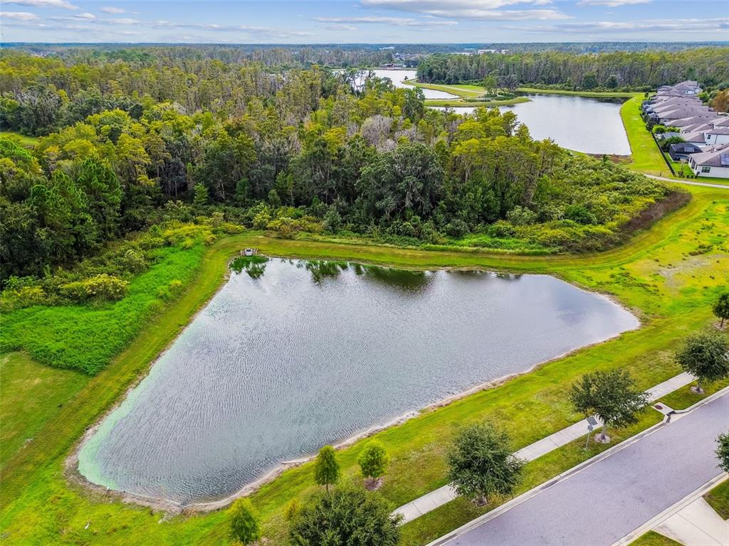 Odessa, Florida, 33556, United States, 4 Bedrooms Bedrooms, ,3 BathroomsBathrooms,Residential,For Sale,1982031