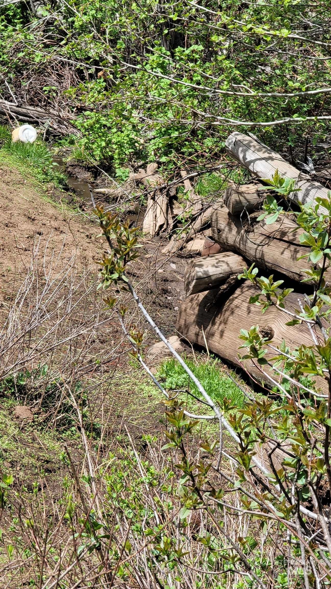 Council, Idaho, 83612, United States, 3 Bedrooms Bedrooms, ,2 BathroomsBathrooms,Residential,For Sale,1983161