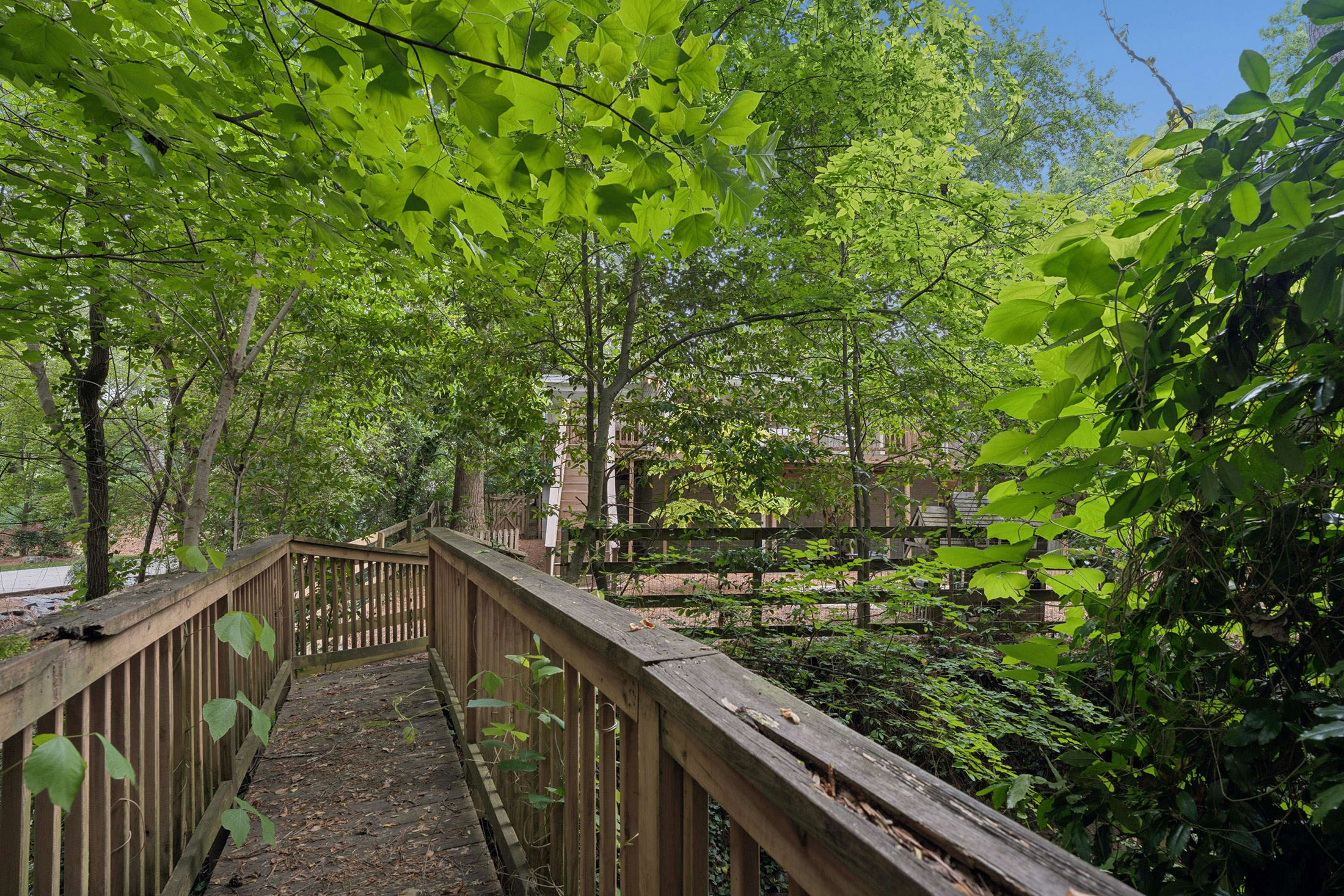  Modern Luxury Meets Total Peace in Brookhaven - 物件實景