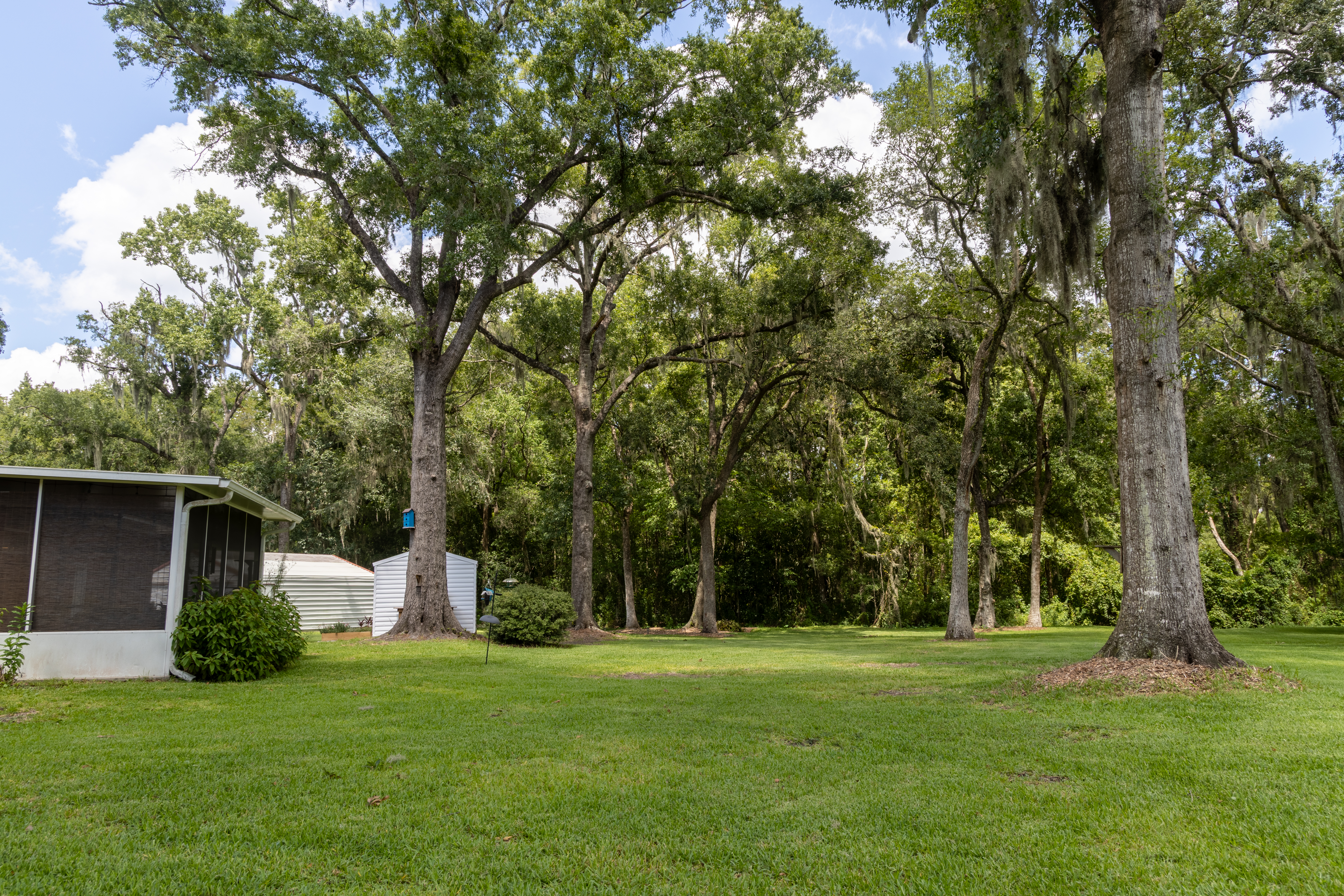  5824 Joy Drive S, Jacksonville, FL, 32244 - 物件實景