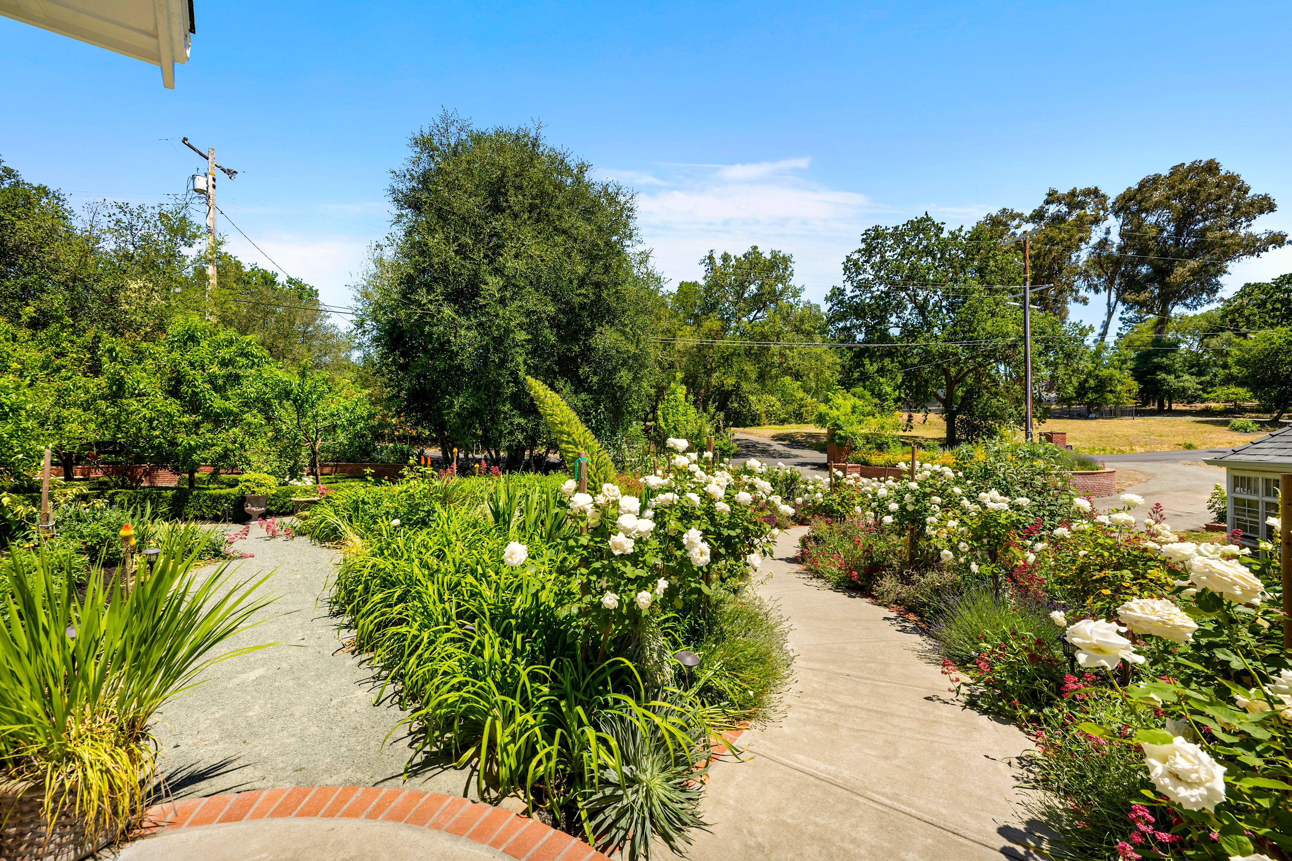  Grand Georgia Colonial Estate with Luxurious Designer Finishes - 物件實景