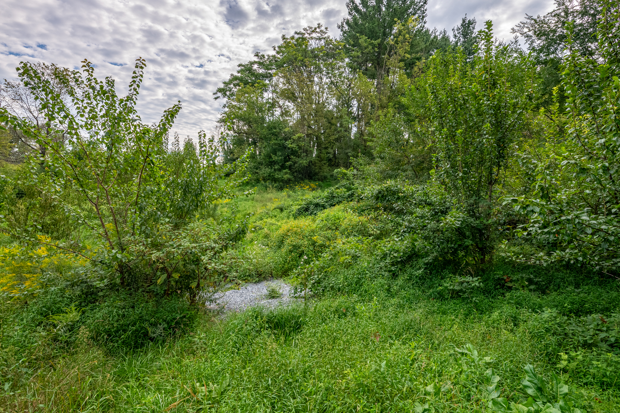  0 River Rd, Pequea, PA 17565 - 物件實景