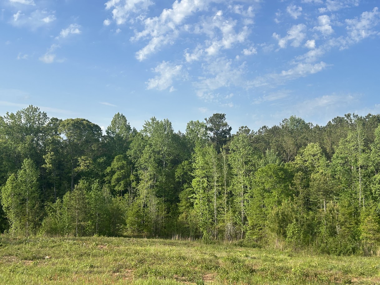 Roopville, Georgia, 30170, United States, ,Residential,For Sale,1780793