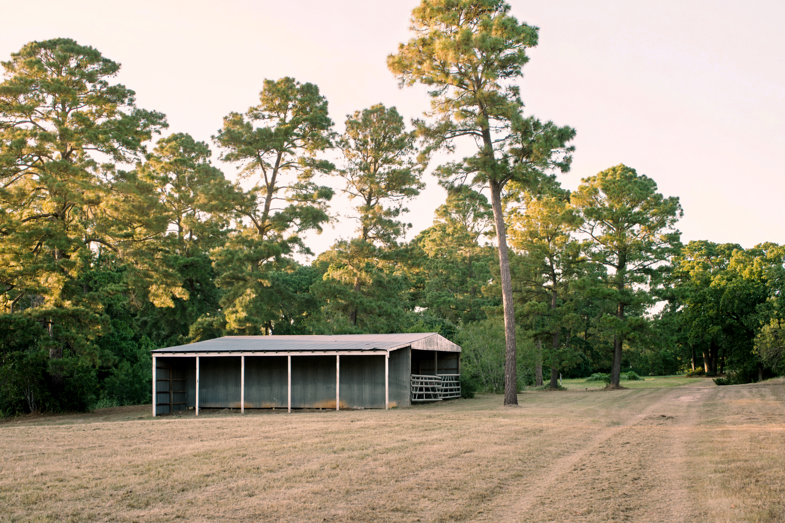  Piney Creek Ranch in Bastrop County - 物件實景