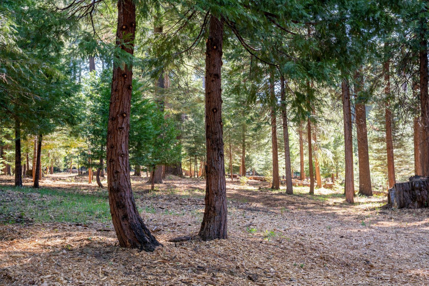 Pollock Pines, California, 95726, United States, ,Residential,For Sale,1982906