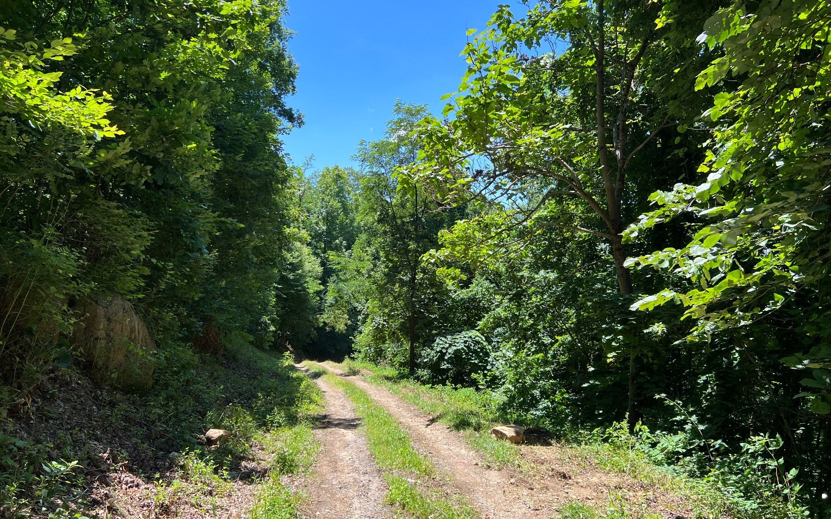 101ac Lori'S Mountain, Hayesville, North Carolina, 28904, United States, ,Residential,For Sale,101ac Lori'S Mountain,1304629