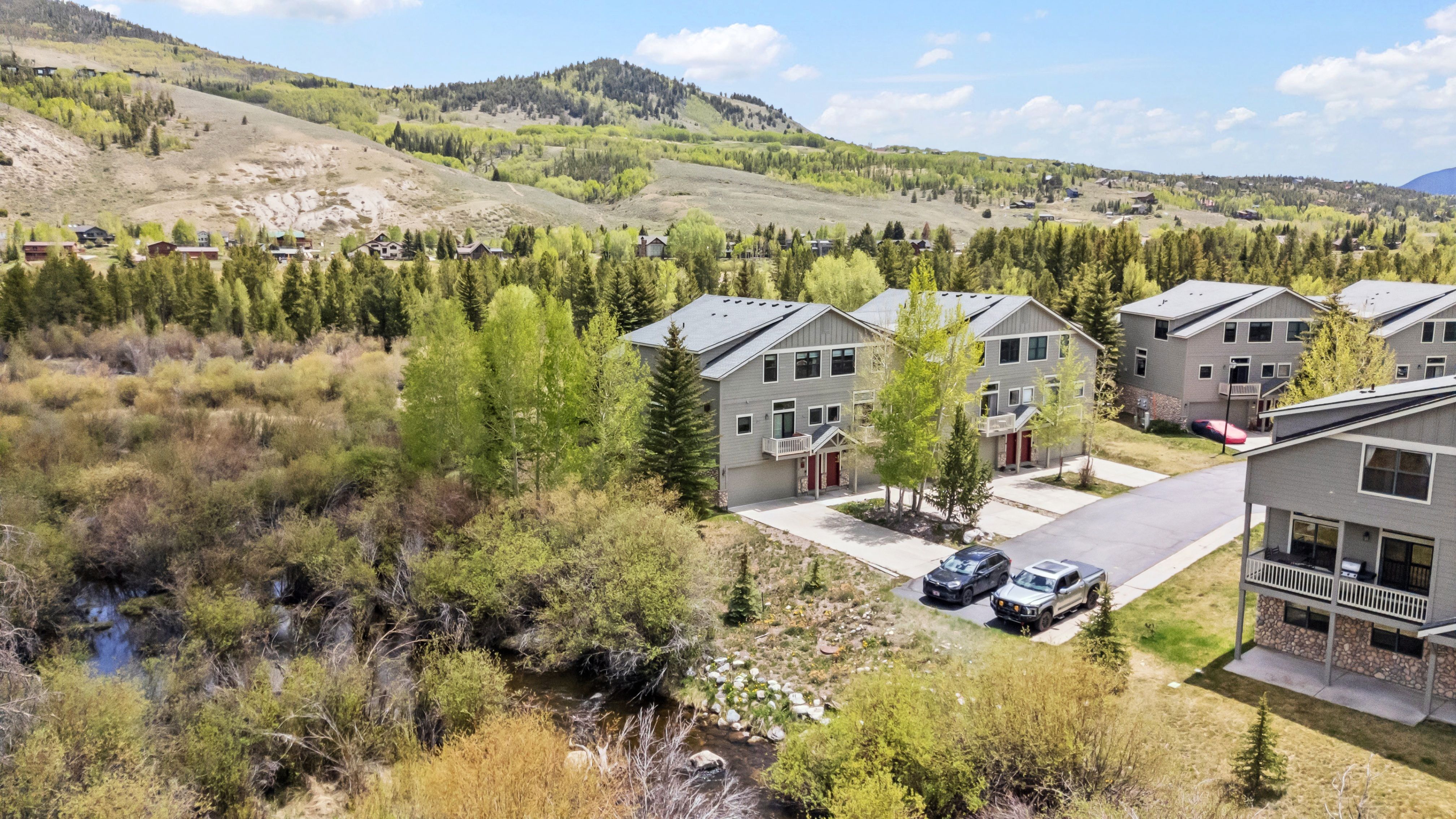  135 Creek Lane, Silverthorne, CO, 80498 - 物件實景