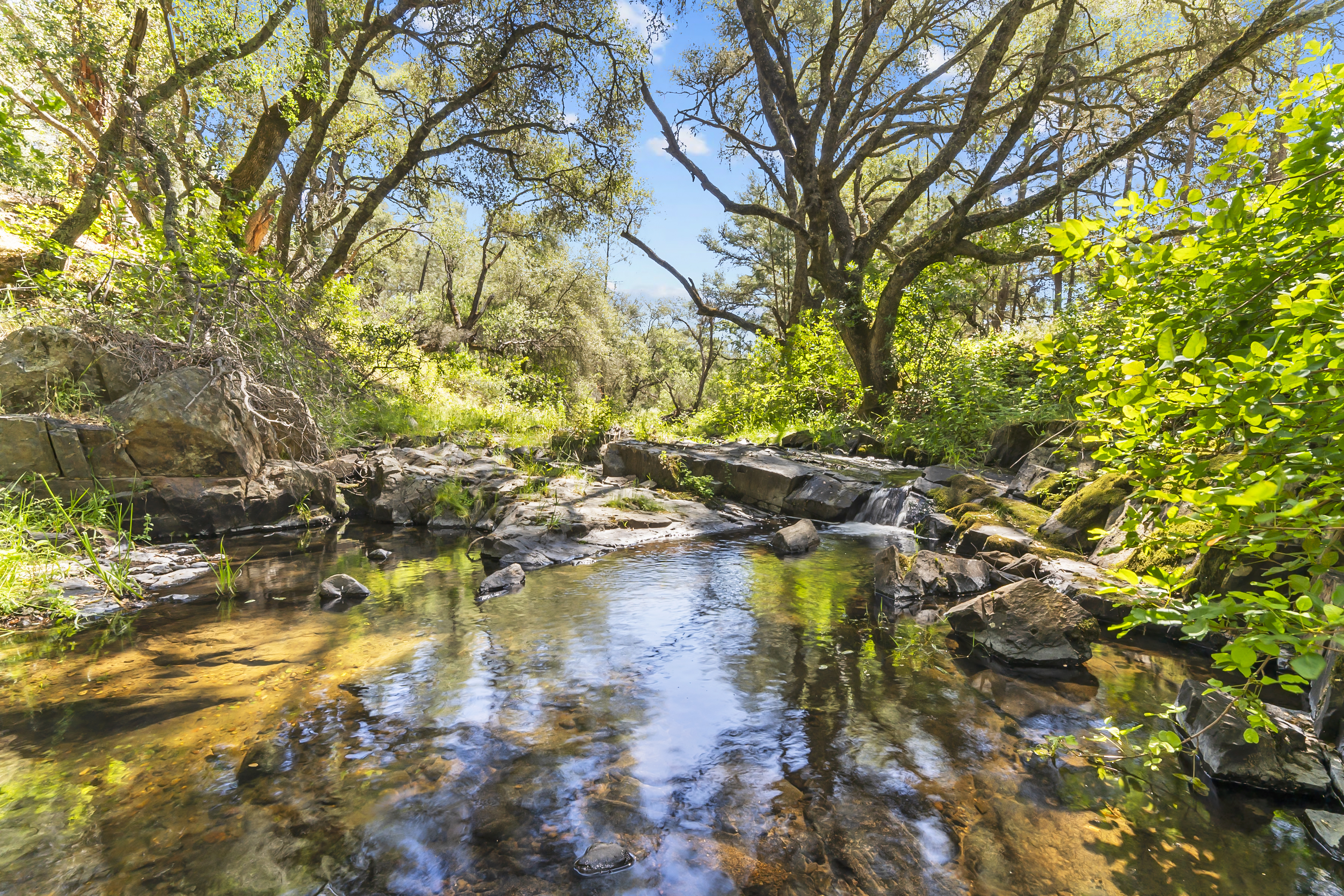  Amoruso Ranch 1000+ Acres Legacy - 物件實景
