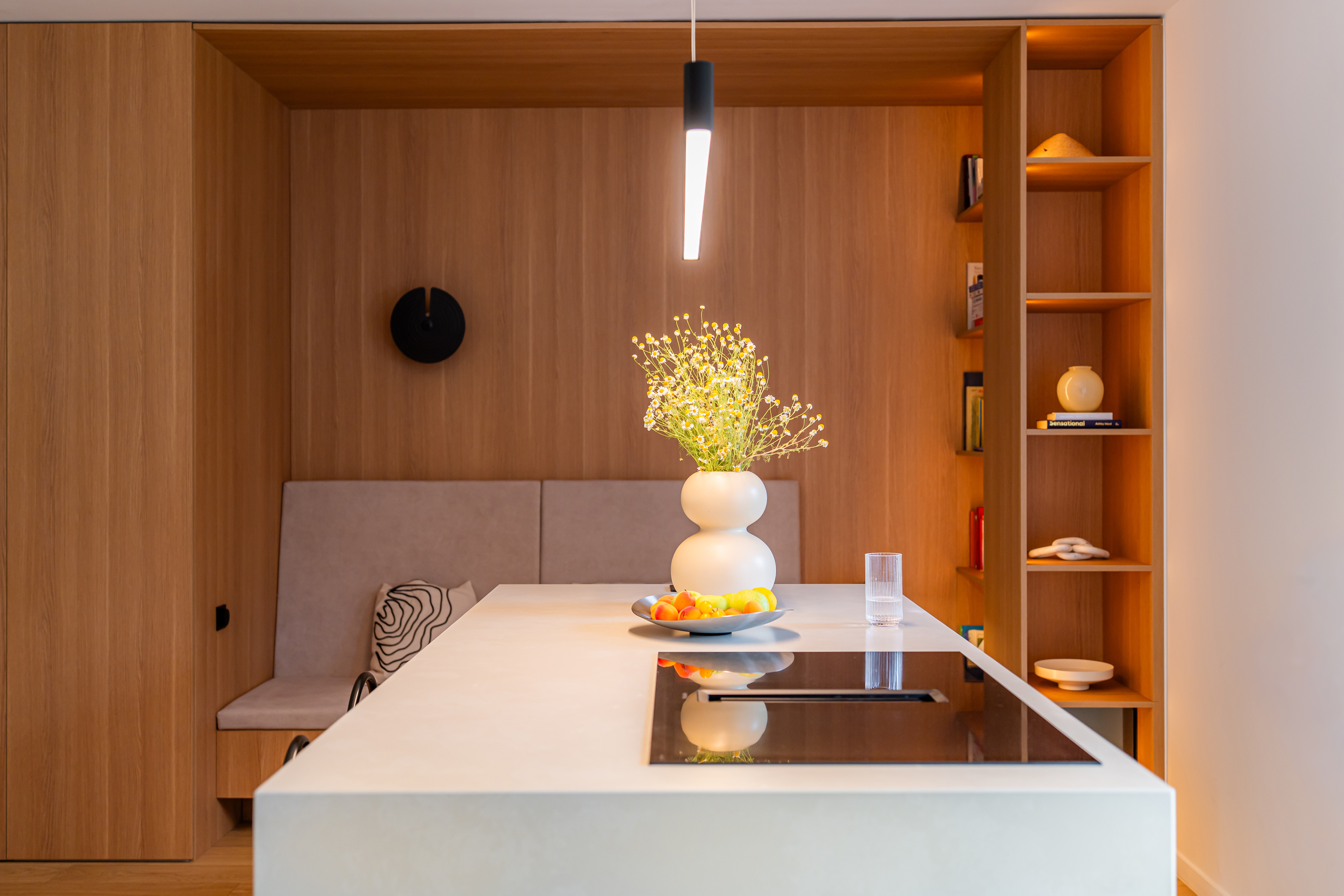 Passive House - Designer Residence, Cluj-Napoca - 物件實景