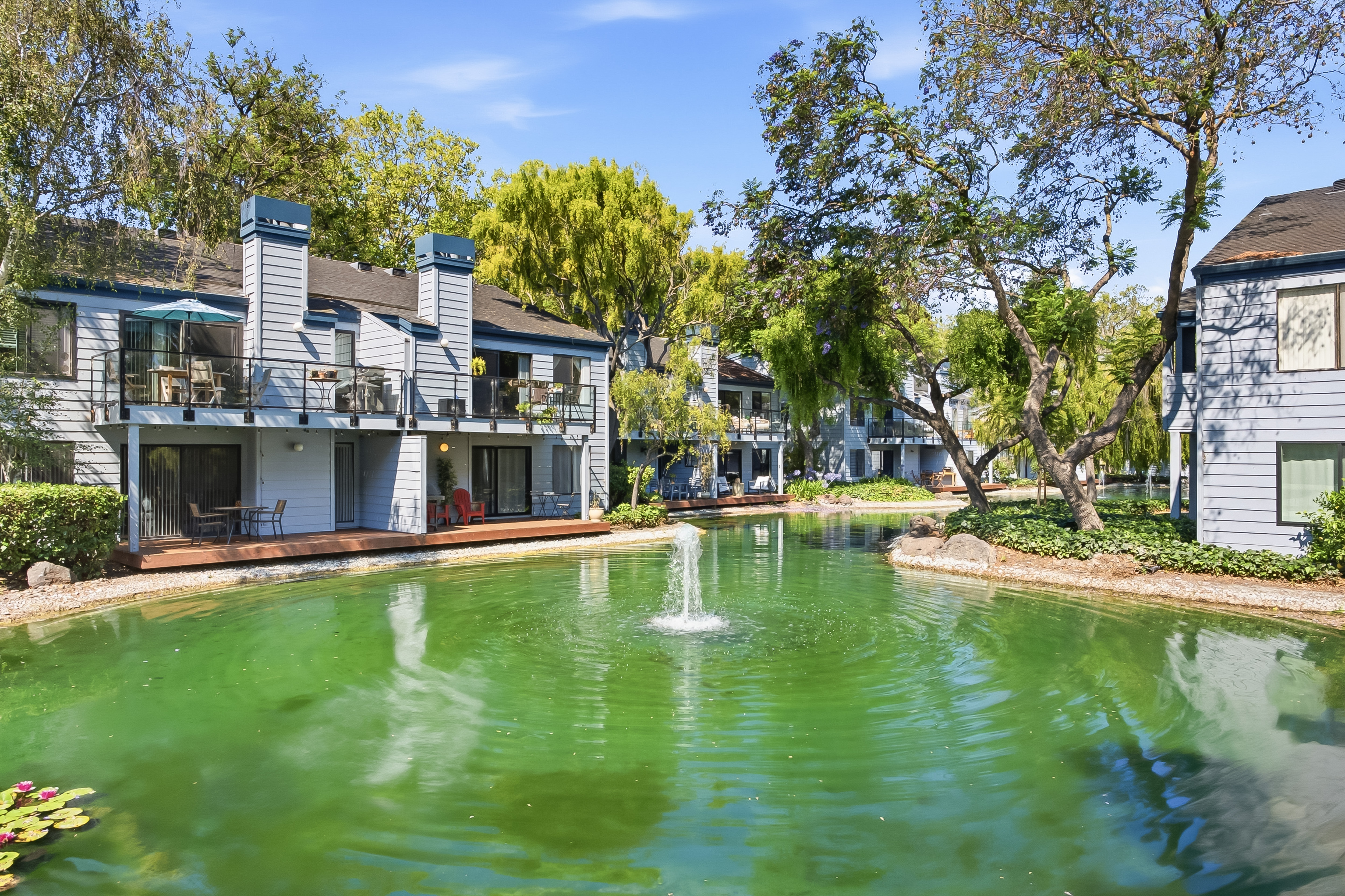  Lakefront Living in the Heart of Mountain View - 物件實景