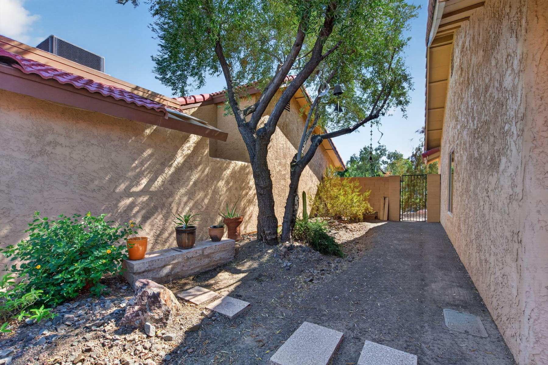  12037 S Half Moon Drive  Phoenix, AZ - 物件實景