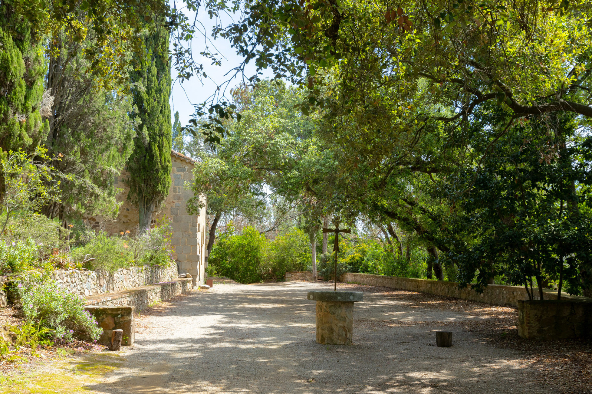  Architectural jewel of the XVI century in a natural park. - 物件實景