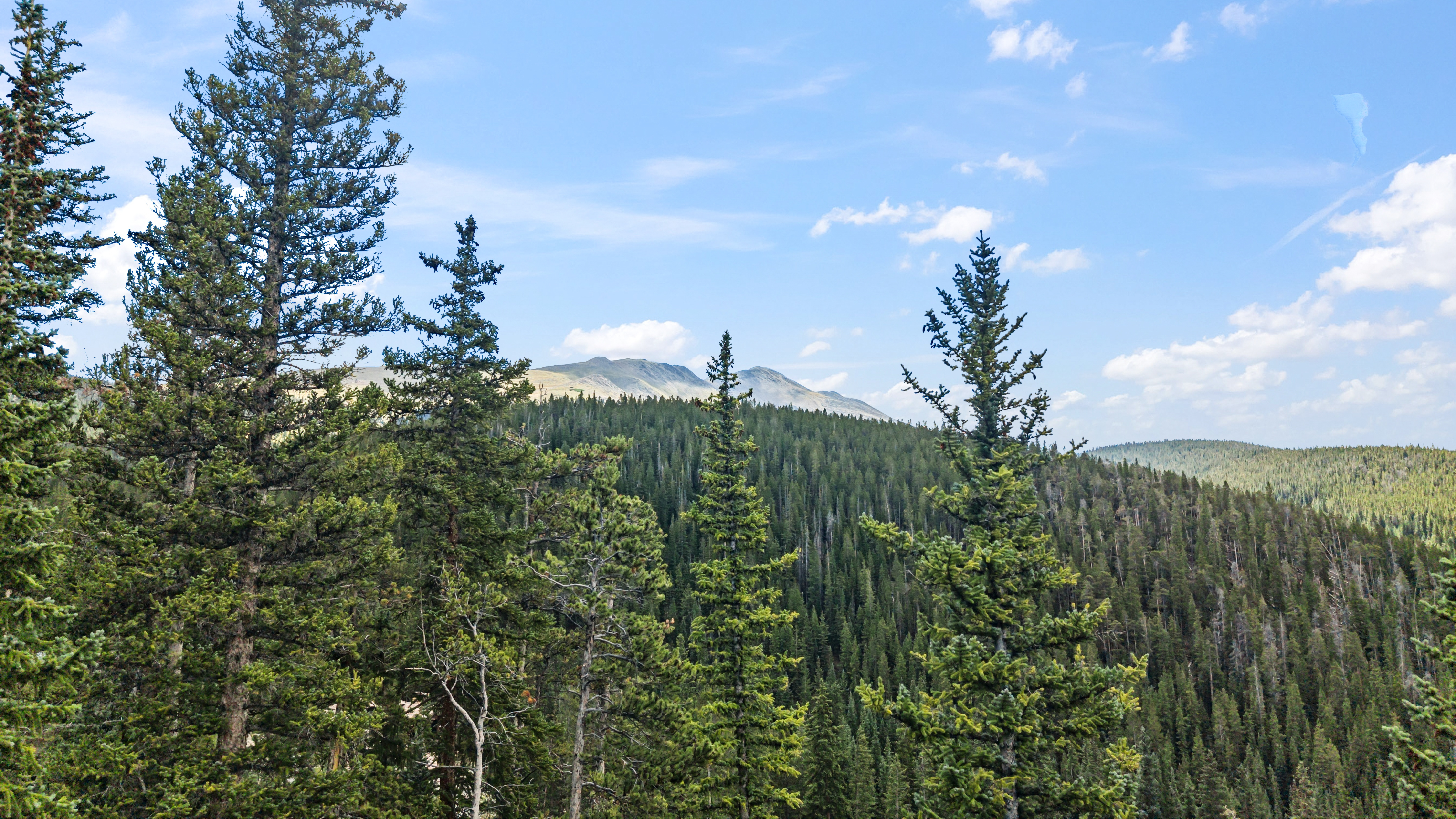  Set in the Desirable Goldenview Neighborhood of Breckenridge - 物件實景