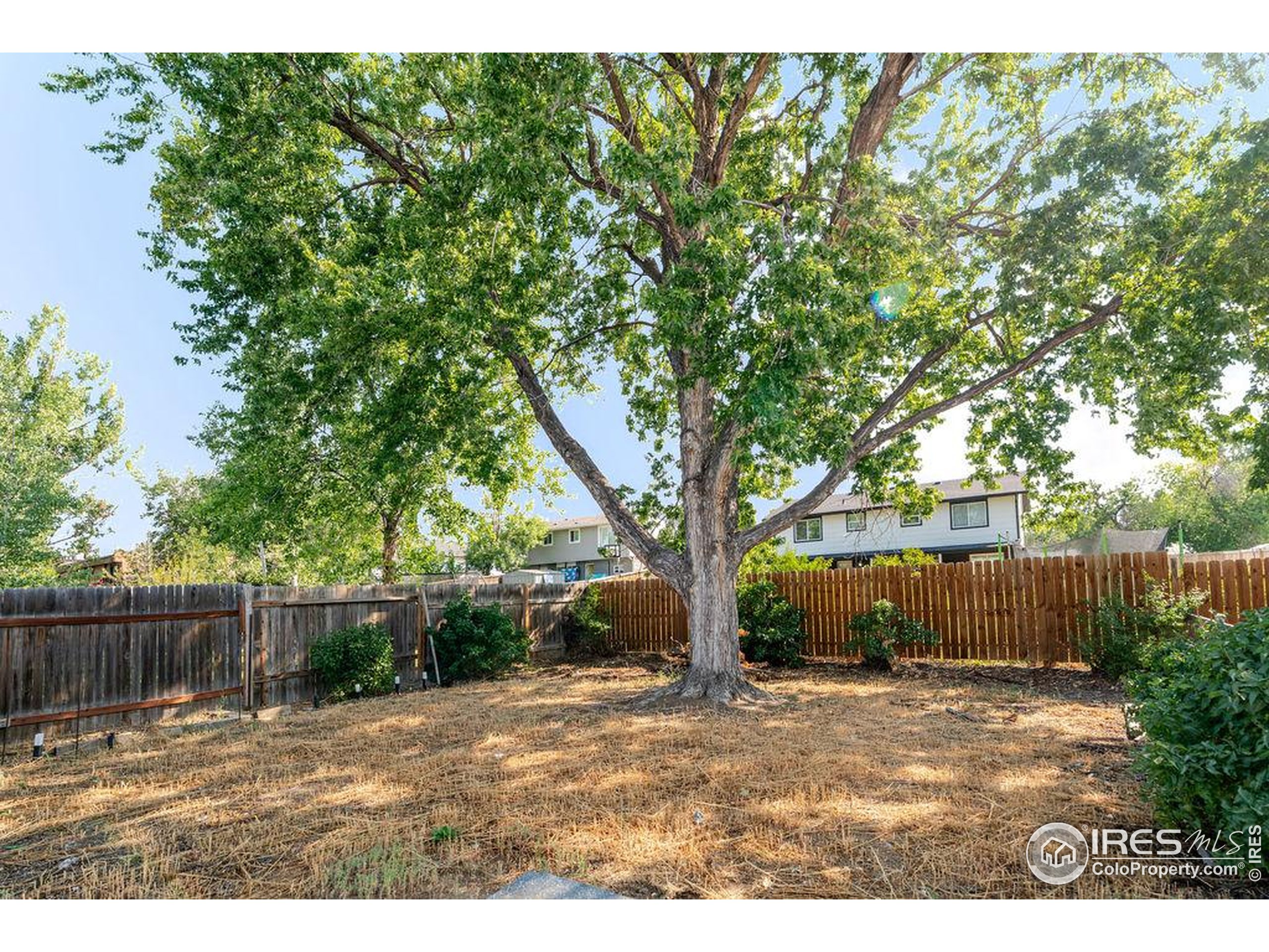 Longmont, Colorado, 80501, United States, 4 Bedrooms Bedrooms, ,Residential,For Sale,1941801