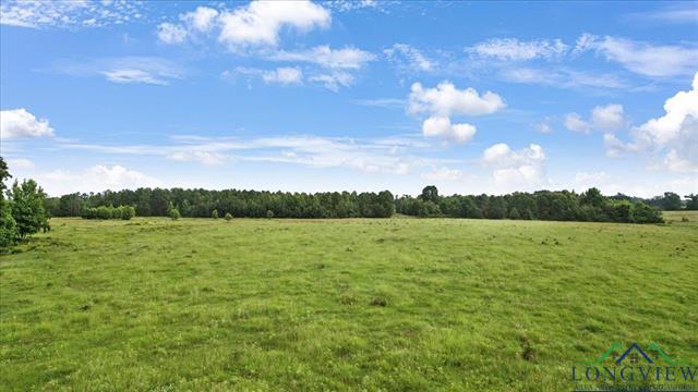 Henderson, Texas, 75654, United States, ,Land,For Sale,1885334