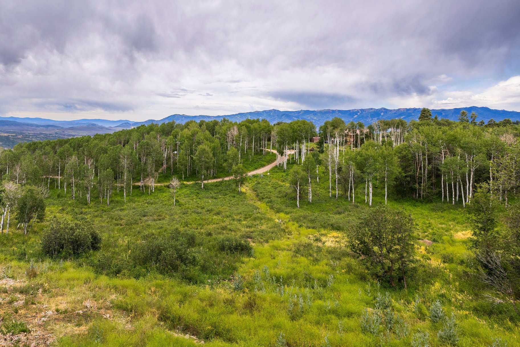 Large Cabin on 1.1 Acres with Scenic Mountain Views - 物件實景