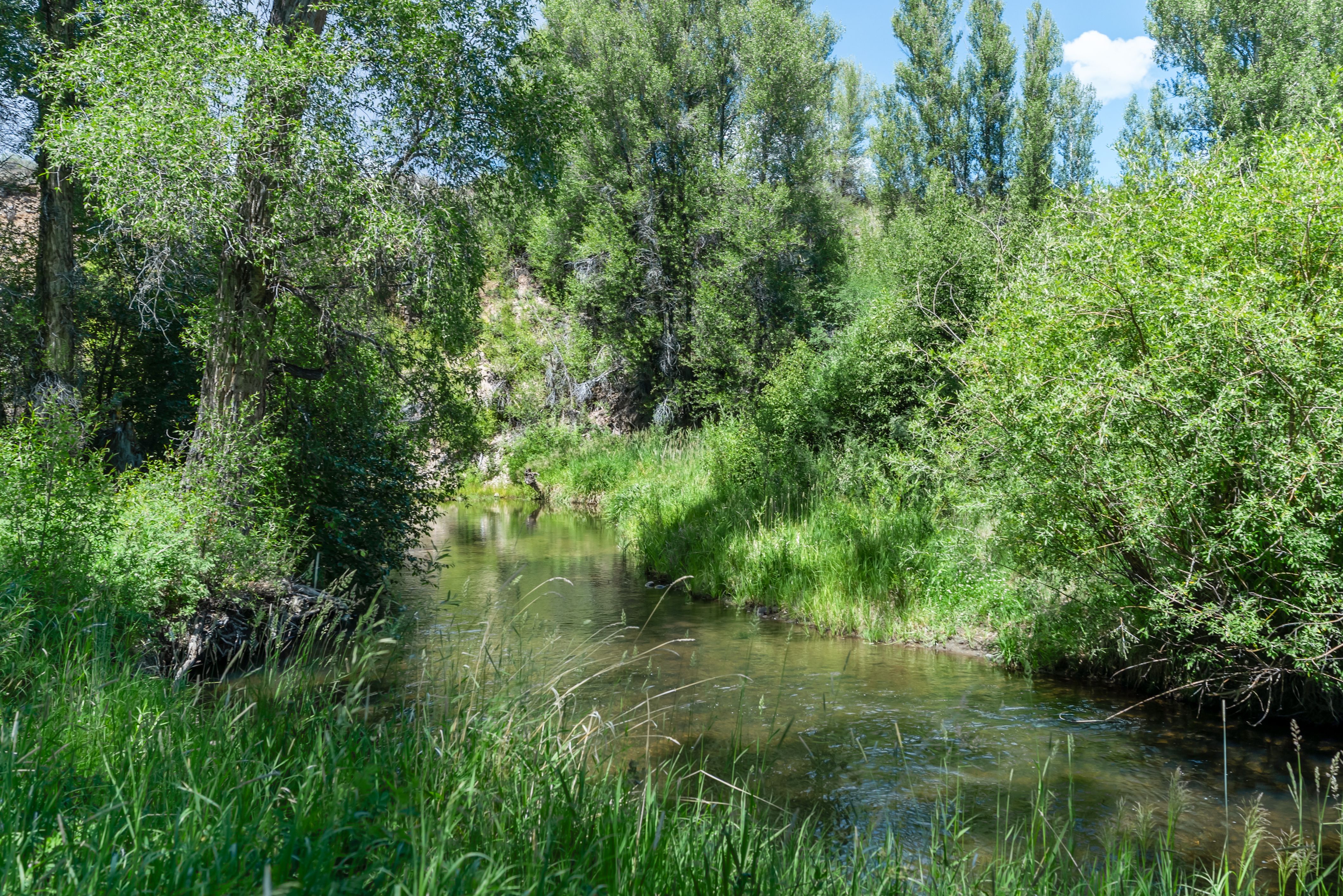  Rocking TP Ranch LLC - 物件實景