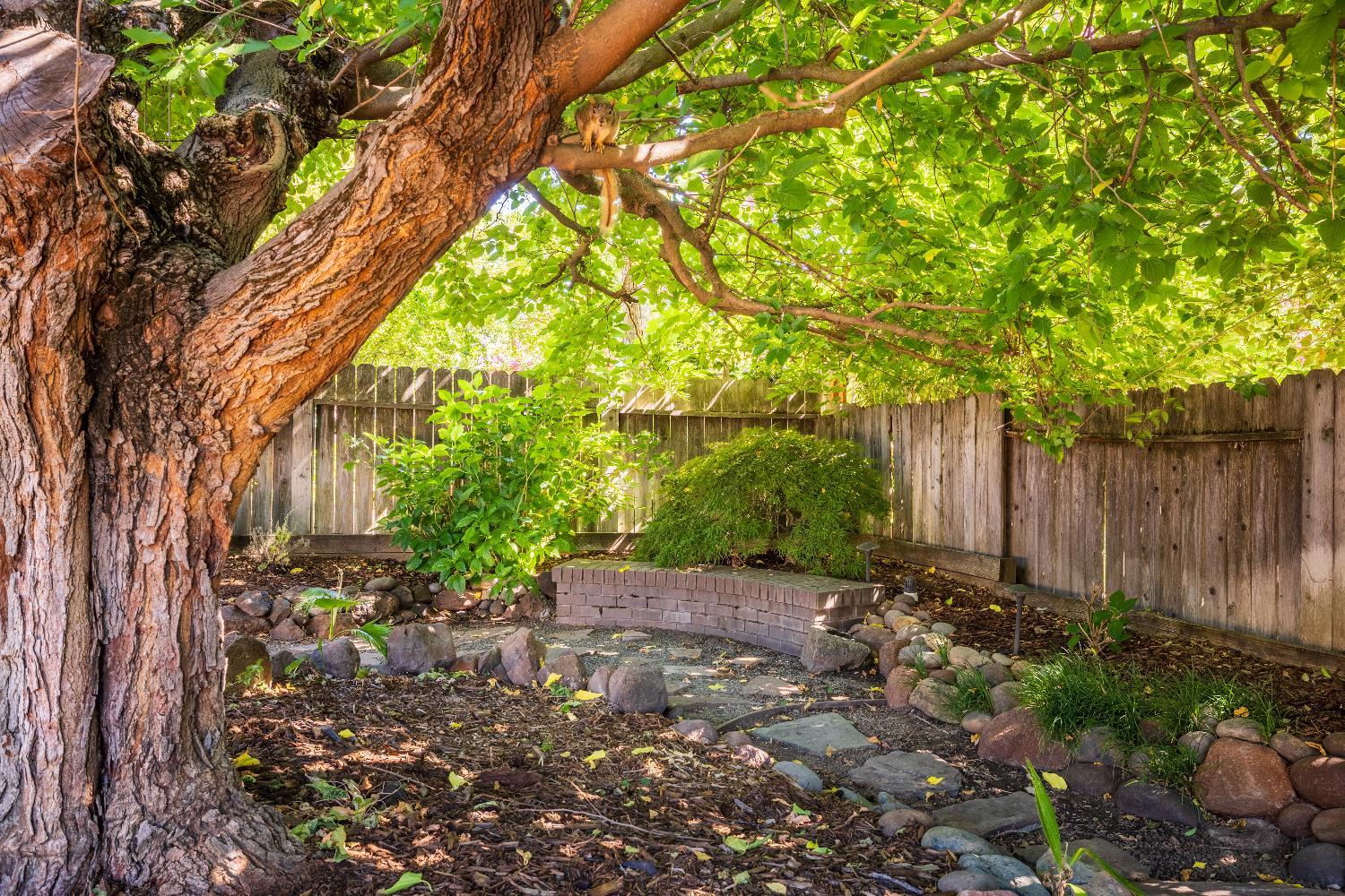 Citrus Heights, California, 95621, United States, 3 Bedrooms Bedrooms, ,2 BathroomsBathrooms,Residential,For Sale,2015324