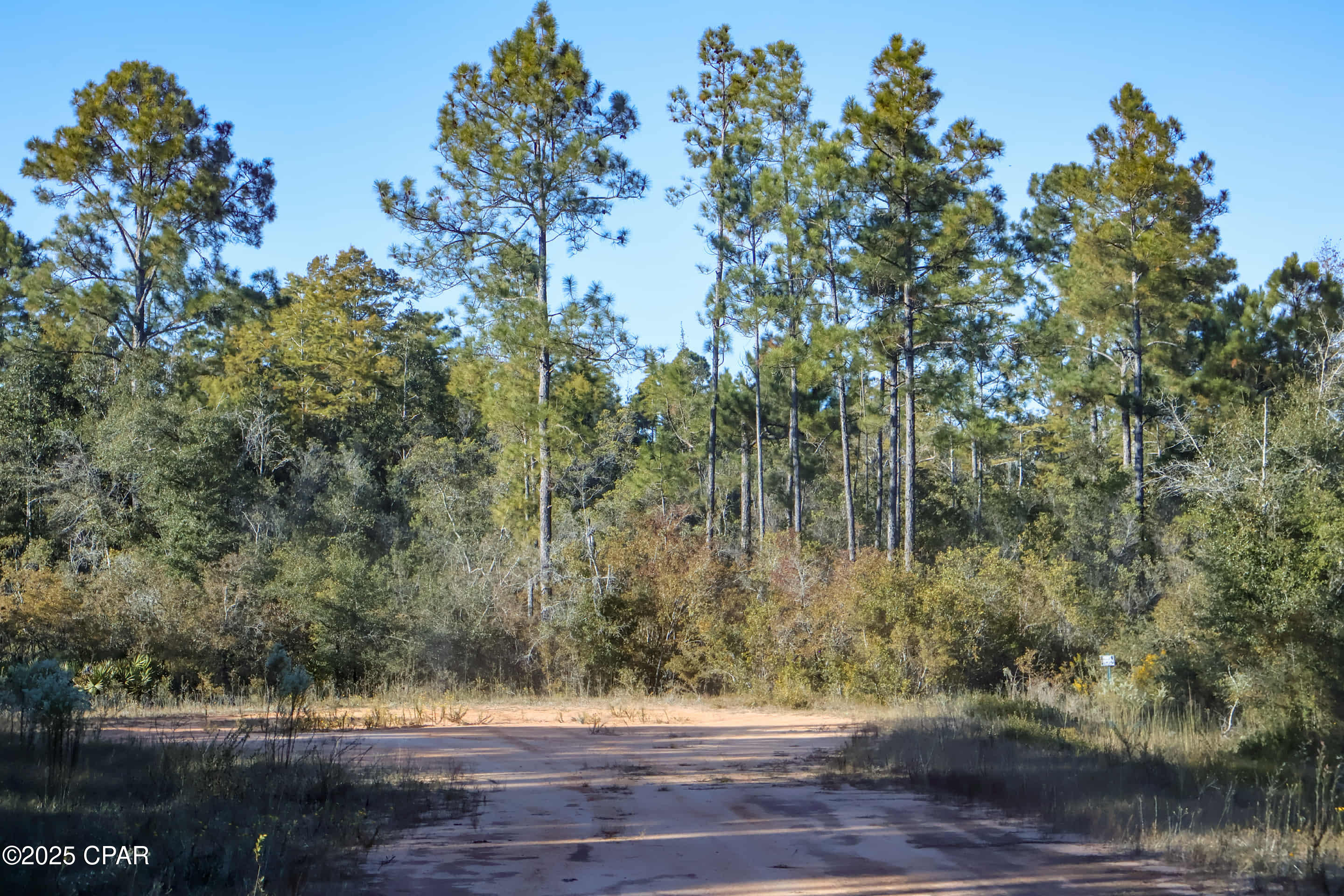 Alford, Florida, 32420, United States, ,Land,For Sale,1994582