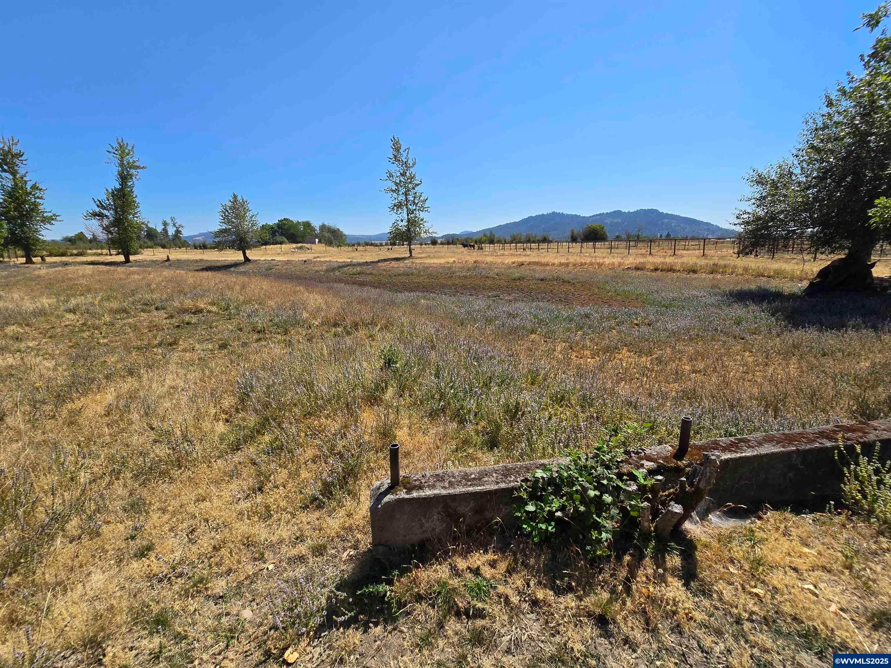 Lebanon, Oregon, 97355, United States, 3 Bedrooms Bedrooms, ,2 BathroomsBathrooms,Residential,For Sale,1911753