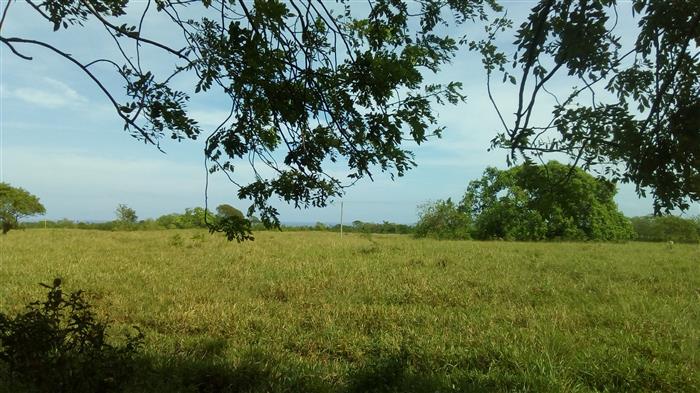 Sosua, DO, ,Land,For Sale,1622583