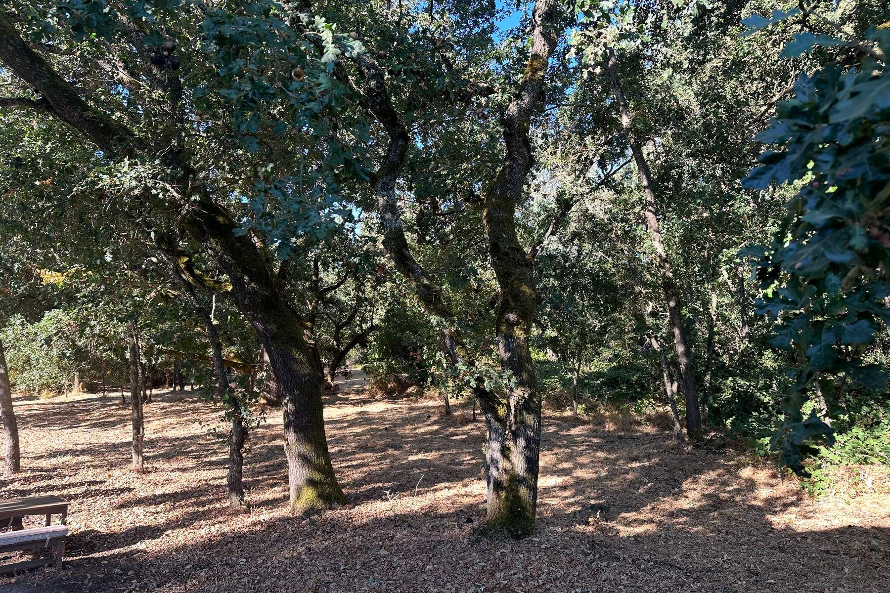  200 & 250 Napa Road - 物件實景