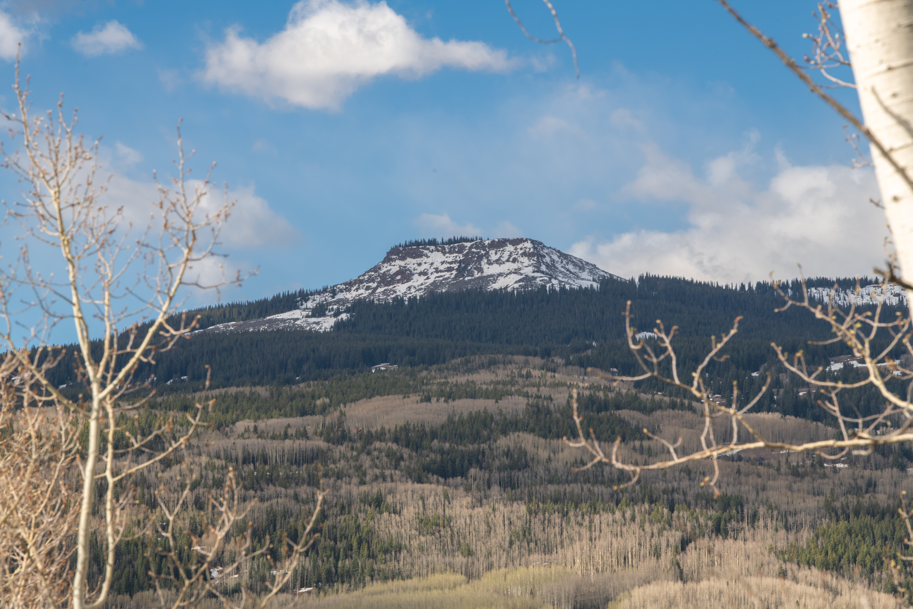  Quality Building Site in Crested Butte South - 物件實景
