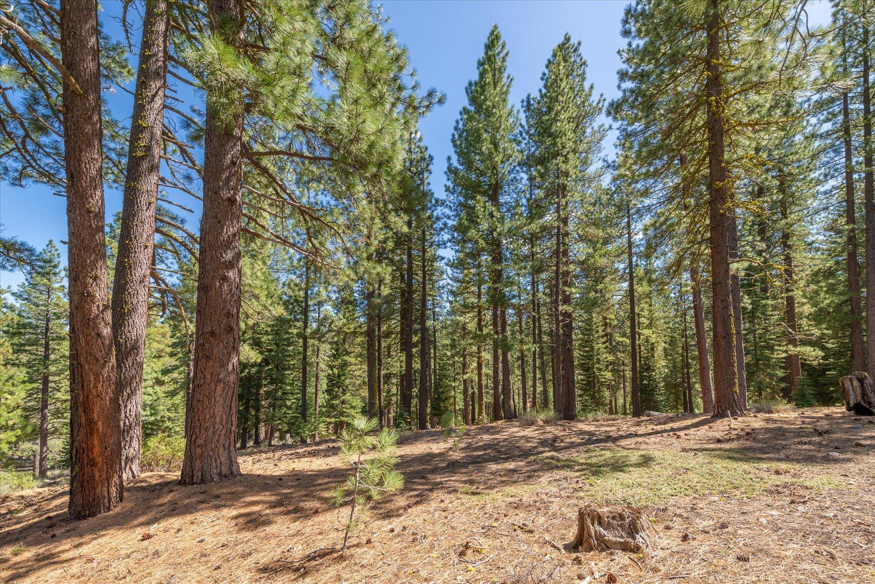 Truckee, California, 96161, United States, ,Land,For Sale,1828145