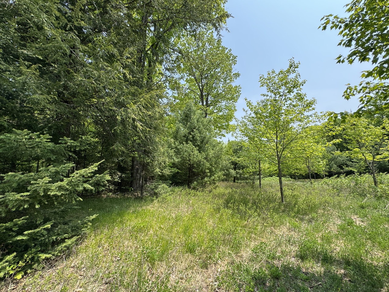 Oma, Wisconsin, 54534, United States, ,Residential,For Sale,1920346