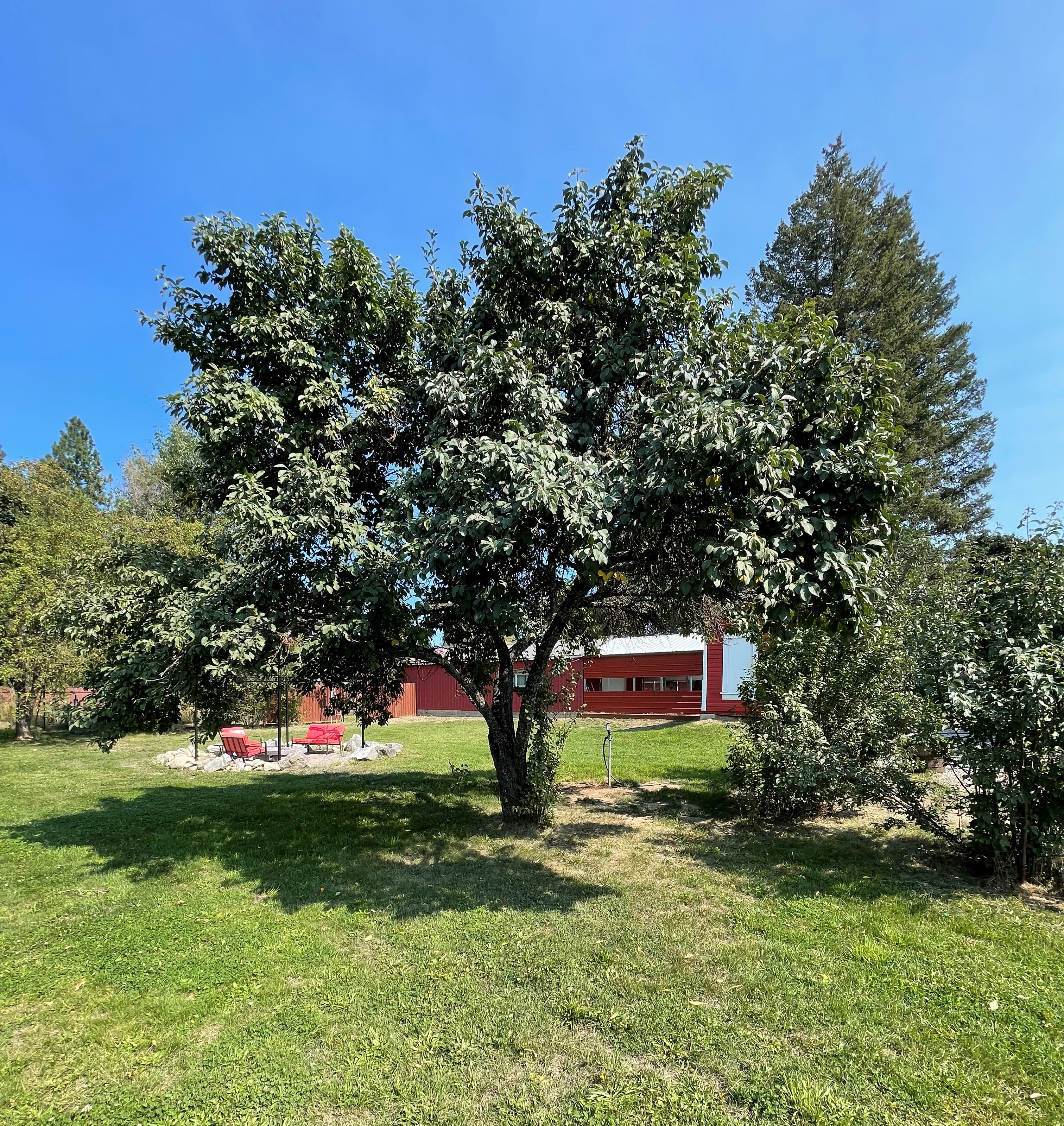 Priest River, Idaho, 83856, United States, 2 Bedrooms Bedrooms, ,2 BathroomsBathrooms,Residential,For Sale,1928264
