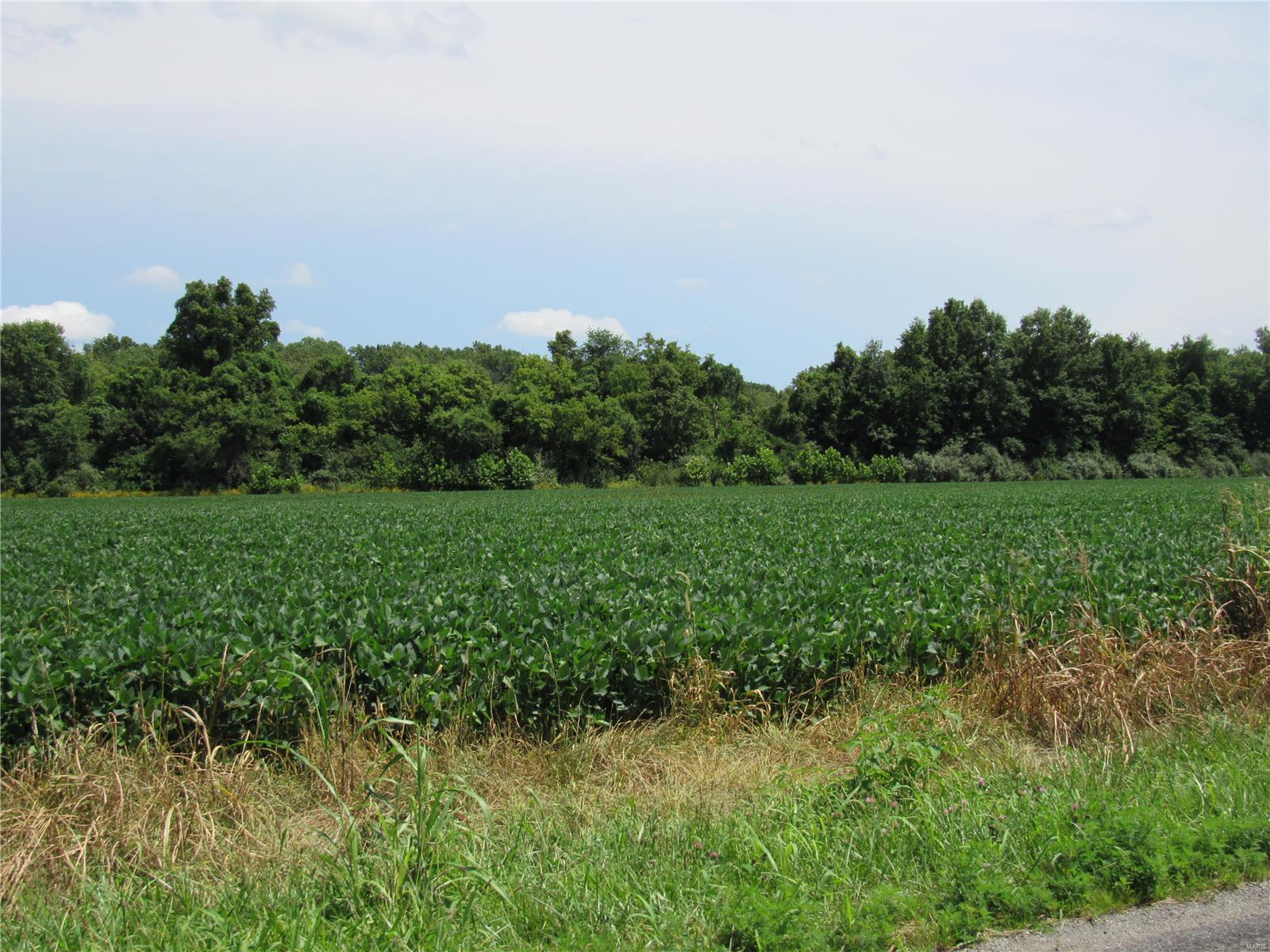 0 Wood Station Road, Alton, Illinois, 62002, United States, ,Residential,For Sale,0 Wood Station Road,1595953