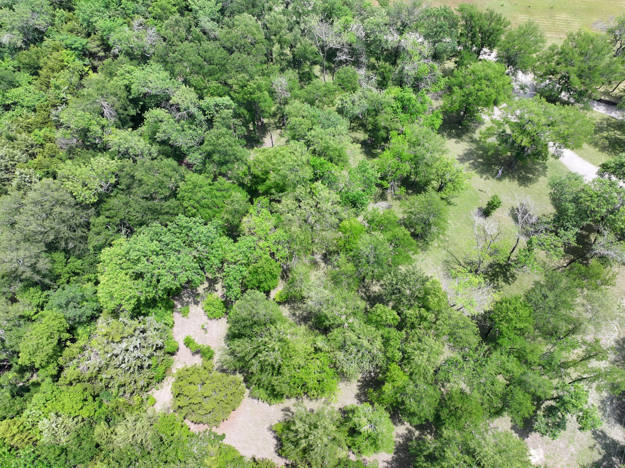 Van Alstyne, Texas, 75495, United States, ,Land,For Sale,1840644