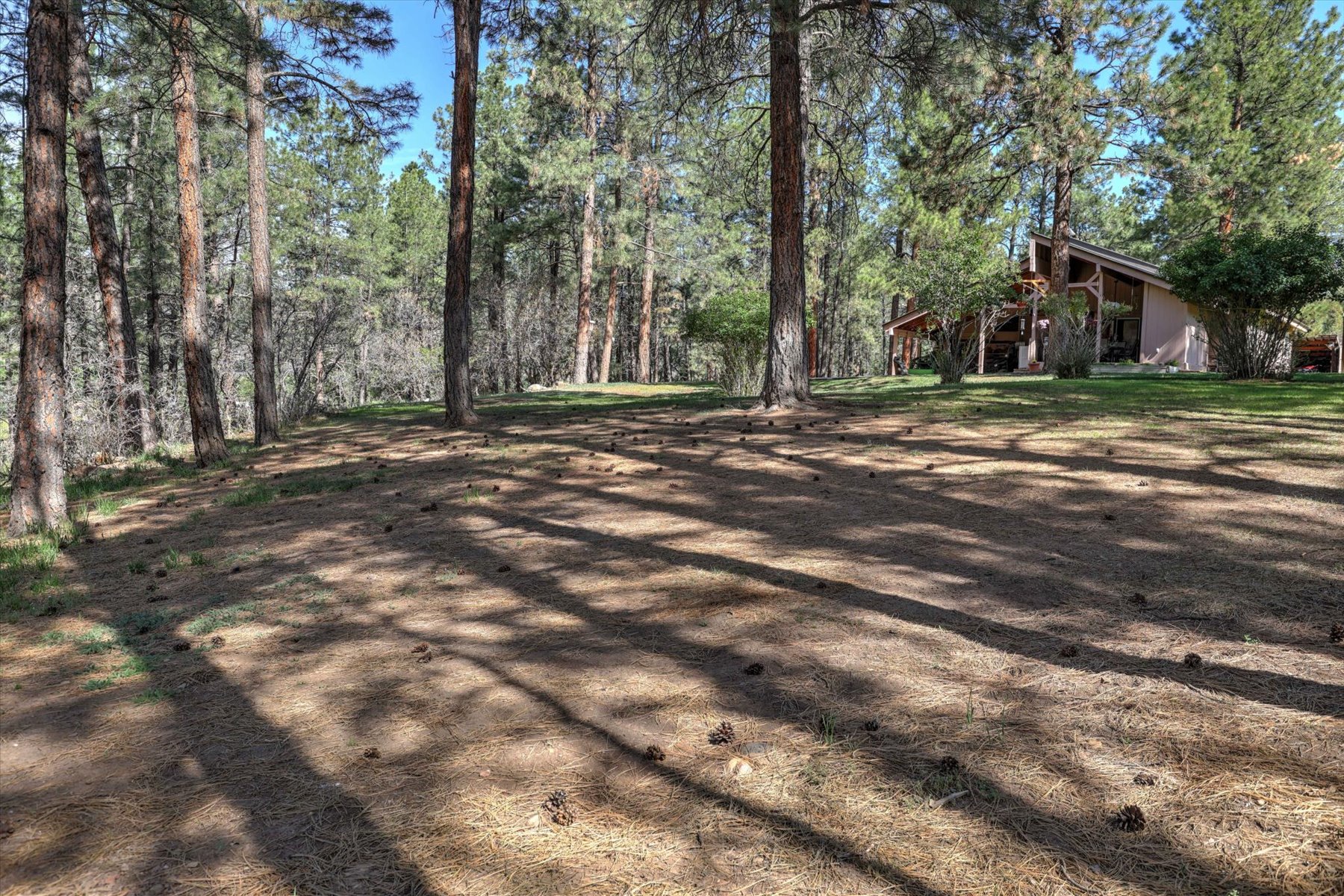  21320 U.S. 160, Pagosa Springs, CO 81147 - 物件實景