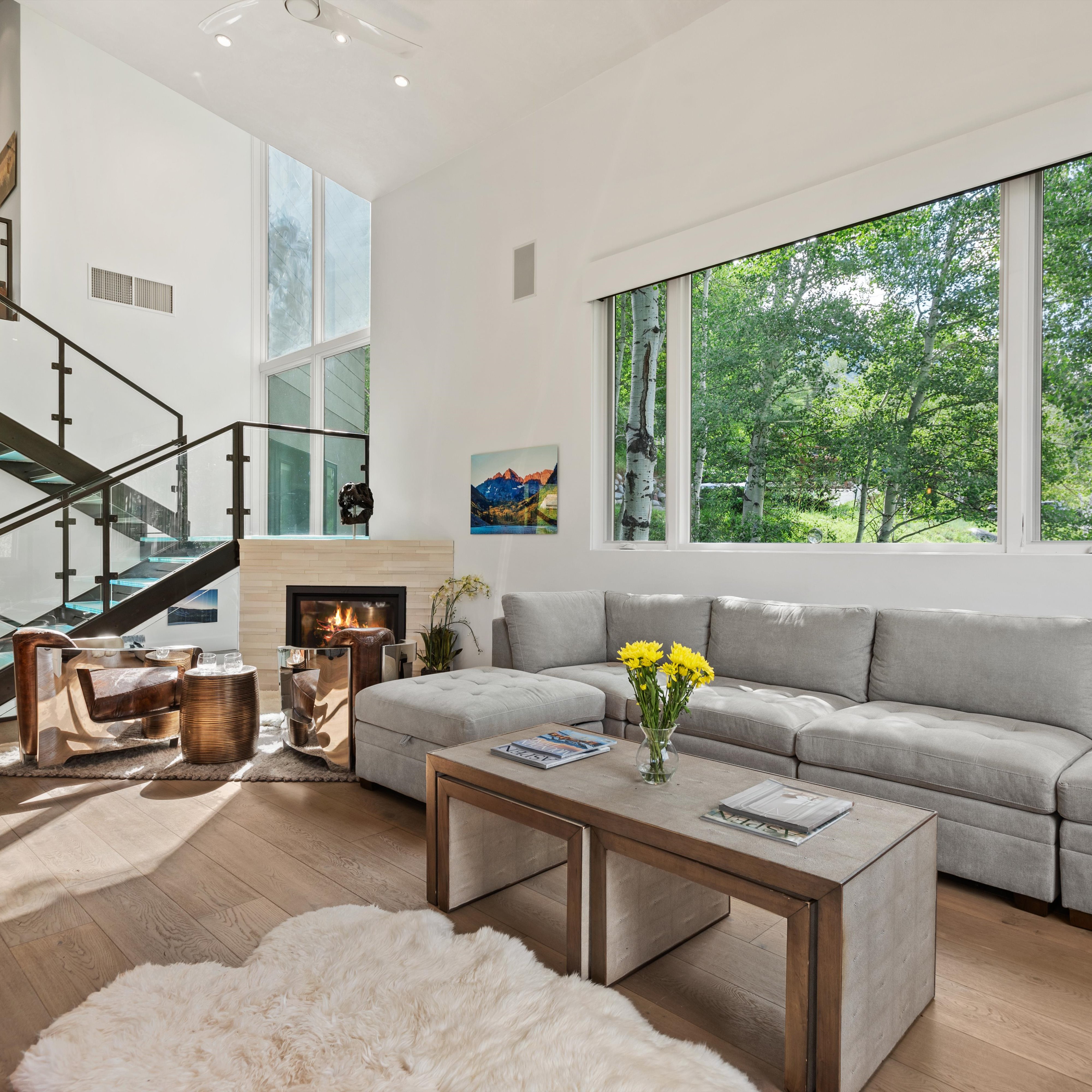  257 Mountain Laurel Drive, Aspen, CO, 81611 - 物件實景