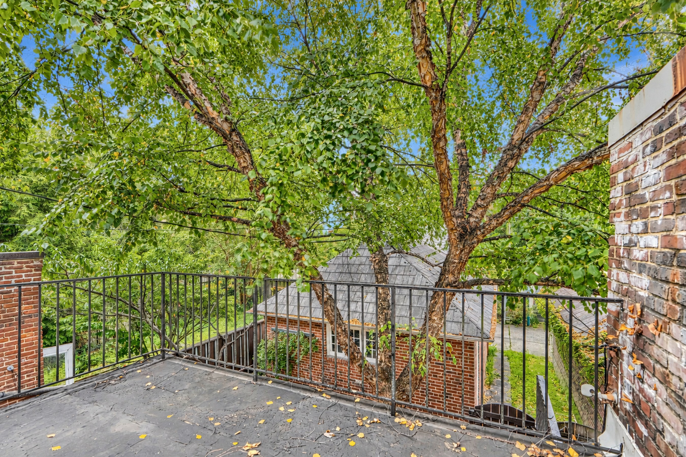  Oakenshawe Historic District - 物件實景